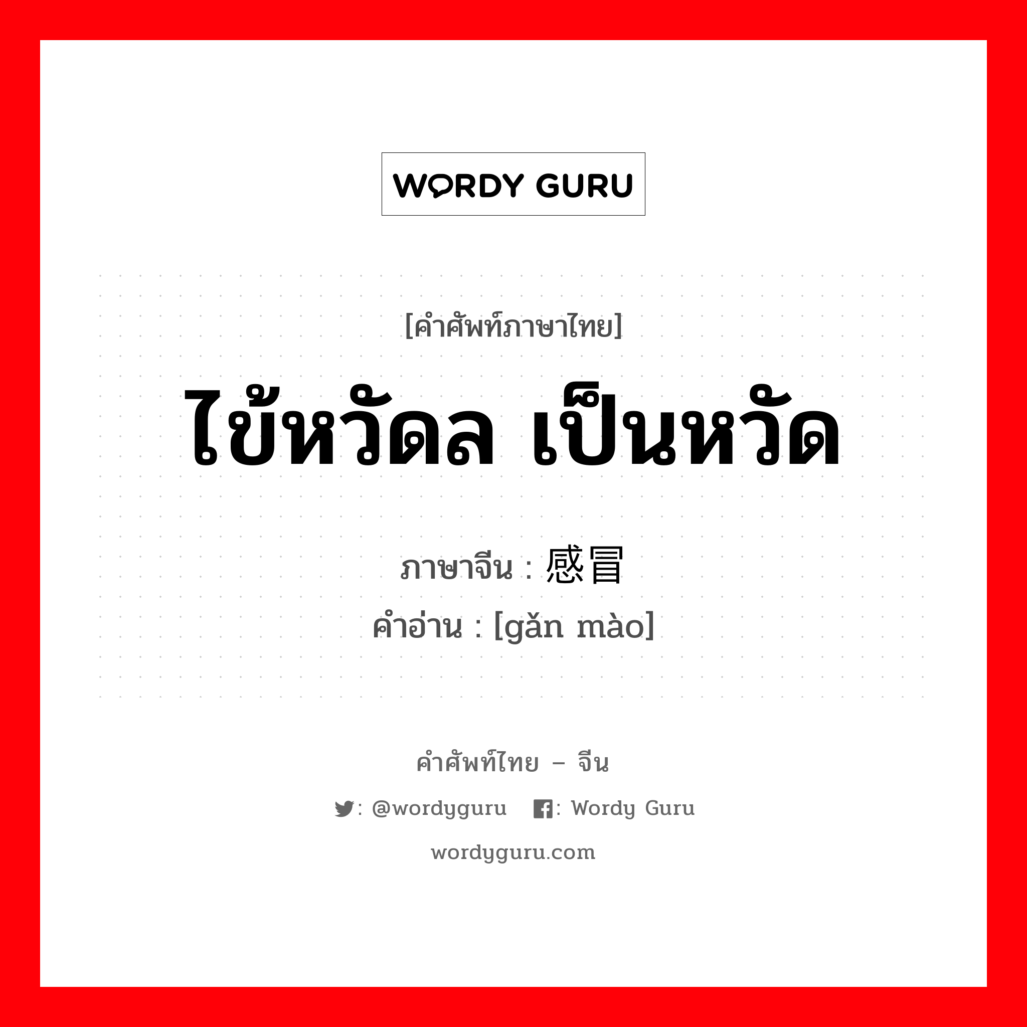 ไข้หวัดล เป็นหวัด ภาษาจีนคืออะไร, คำศัพท์ภาษาไทย - จีน ไข้หวัดล เป็นหวัด ภาษาจีน 感冒 คำอ่าน [gǎn mào]