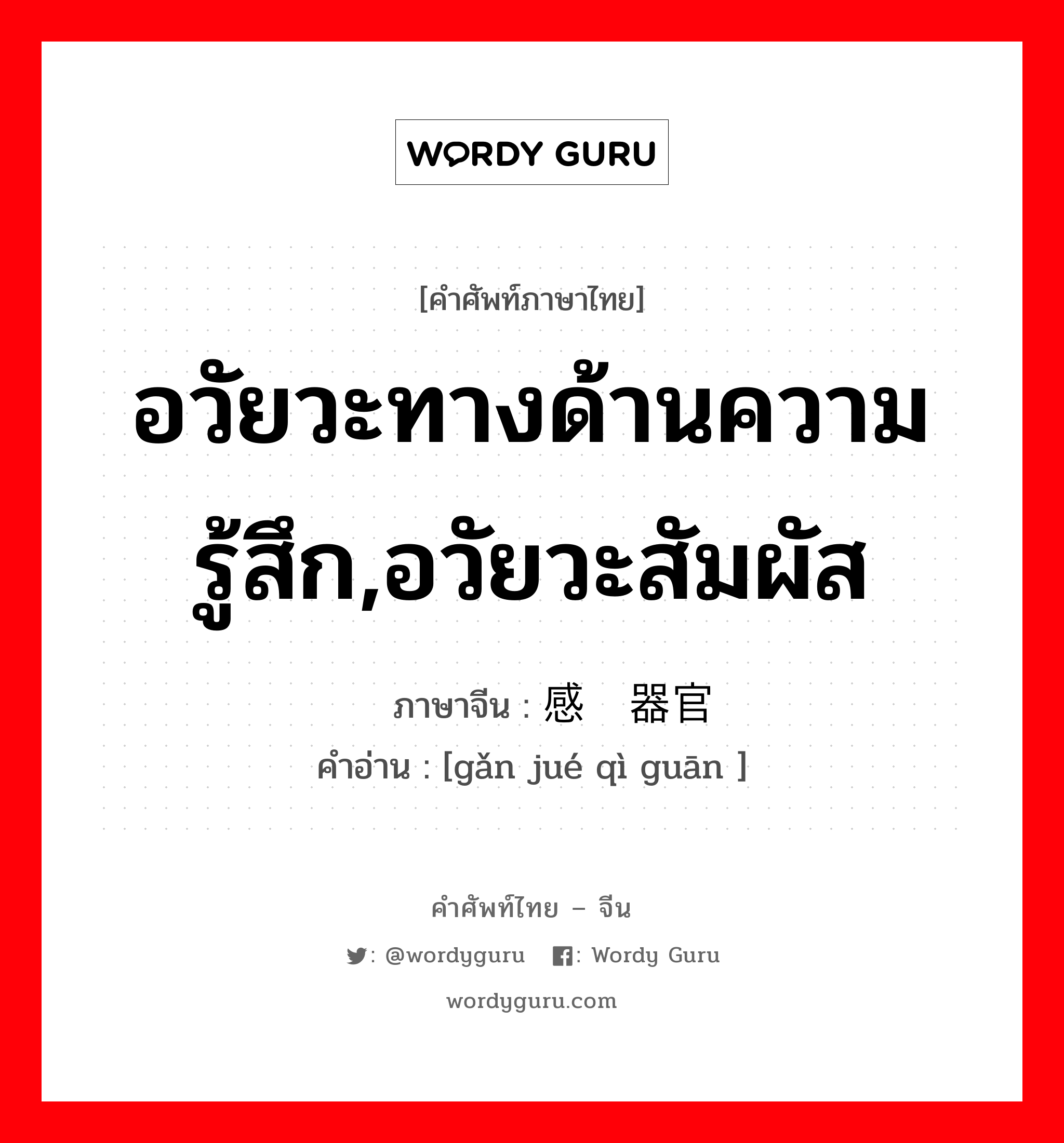 อวัยวะทางด้านความรู้สึก,อวัยวะสัมผัส ภาษาจีนคืออะไร, คำศัพท์ภาษาไทย - จีน อวัยวะทางด้านความรู้สึก,อวัยวะสัมผัส ภาษาจีน 感觉器官 คำอ่าน [gǎn jué qì guān ]