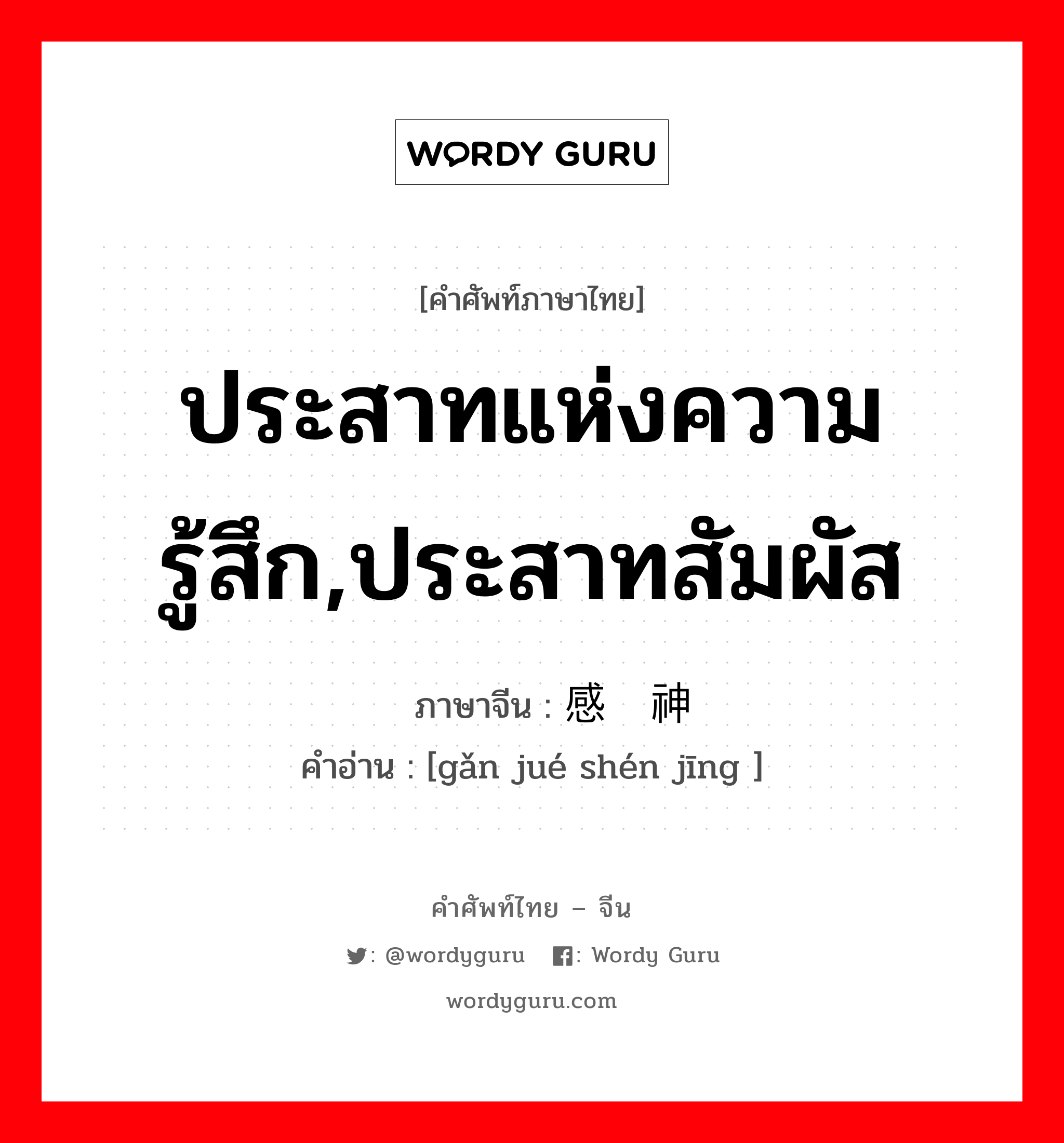 ประสาทแห่งความรู้สึก,ประสาทสัมผัส ภาษาจีนคืออะไร, คำศัพท์ภาษาไทย - จีน ประสาทแห่งความรู้สึก,ประสาทสัมผัส ภาษาจีน 感觉神经 คำอ่าน [gǎn jué shén jīng ]