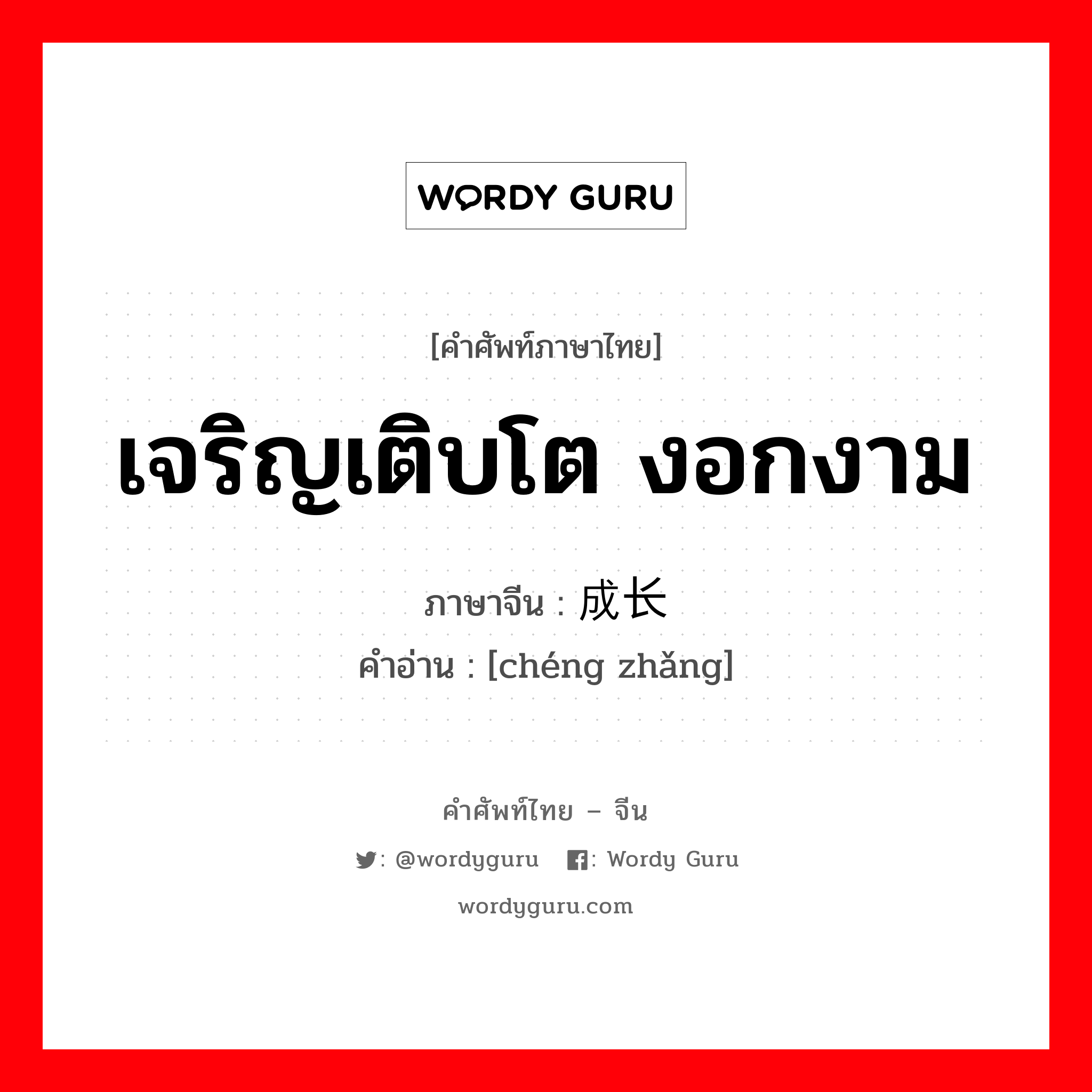 เจริญเติบโต งอกงาม ภาษาจีนคืออะไร, คำศัพท์ภาษาไทย - จีน เจริญเติบโต งอกงาม ภาษาจีน 成长 คำอ่าน [chéng zhǎng]