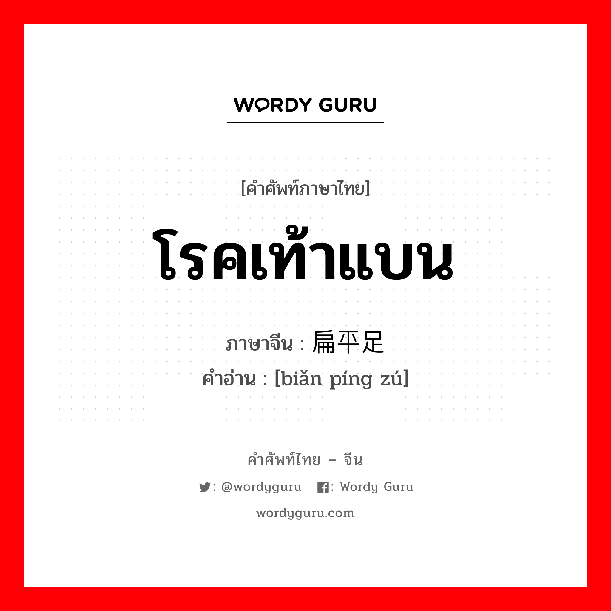 โรคเท้าแบน ภาษาจีนคืออะไร, คำศัพท์ภาษาไทย - จีน โรคเท้าแบน ภาษาจีน 扁平足 คำอ่าน [biǎn píng zú]