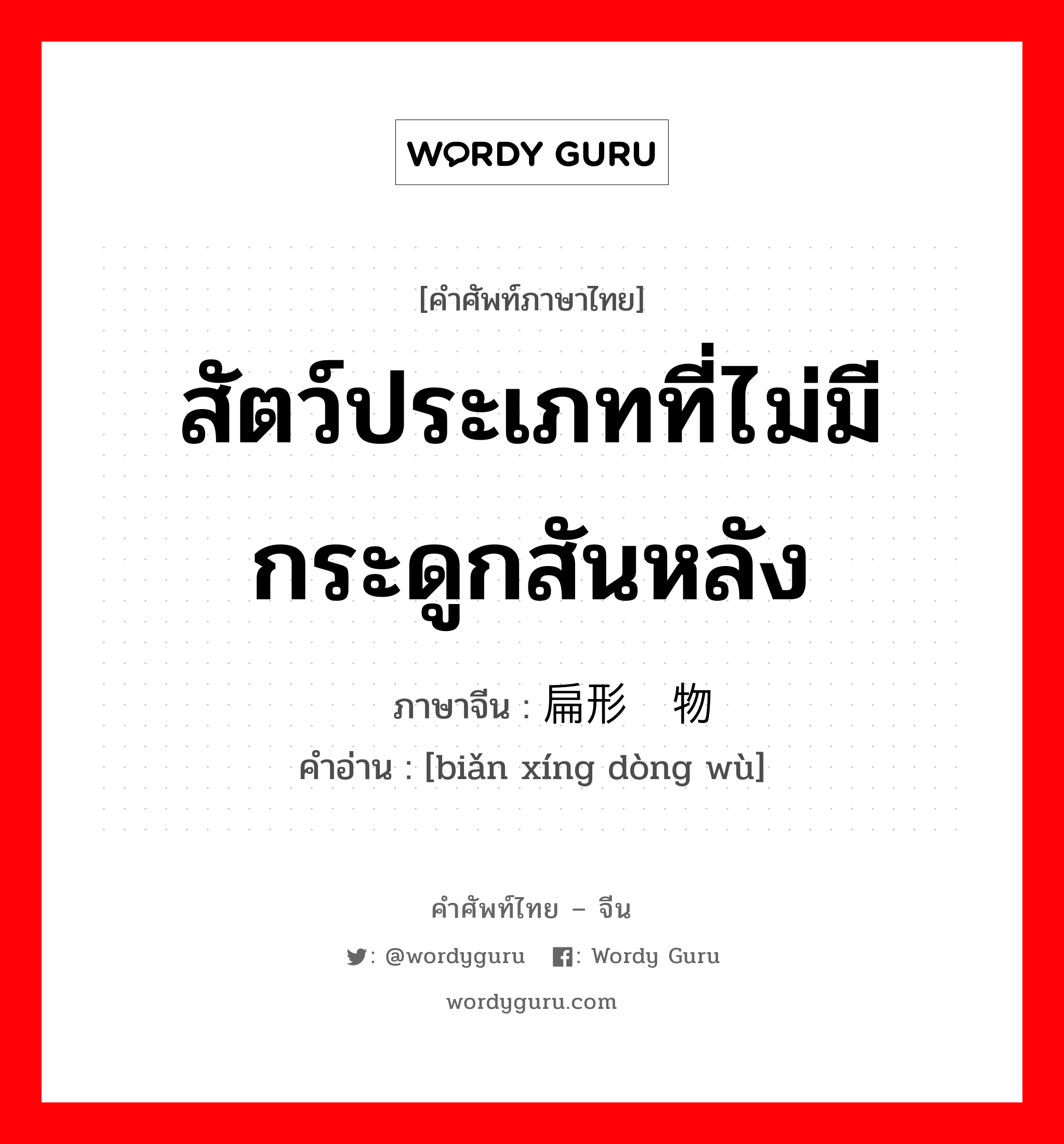 สัตว์ประเภทที่ไม่มีกระดูกสันหลัง ภาษาจีนคืออะไร, คำศัพท์ภาษาไทย - จีน สัตว์ประเภทที่ไม่มีกระดูกสันหลัง ภาษาจีน 扁形动物 คำอ่าน [biǎn xíng dòng wù]