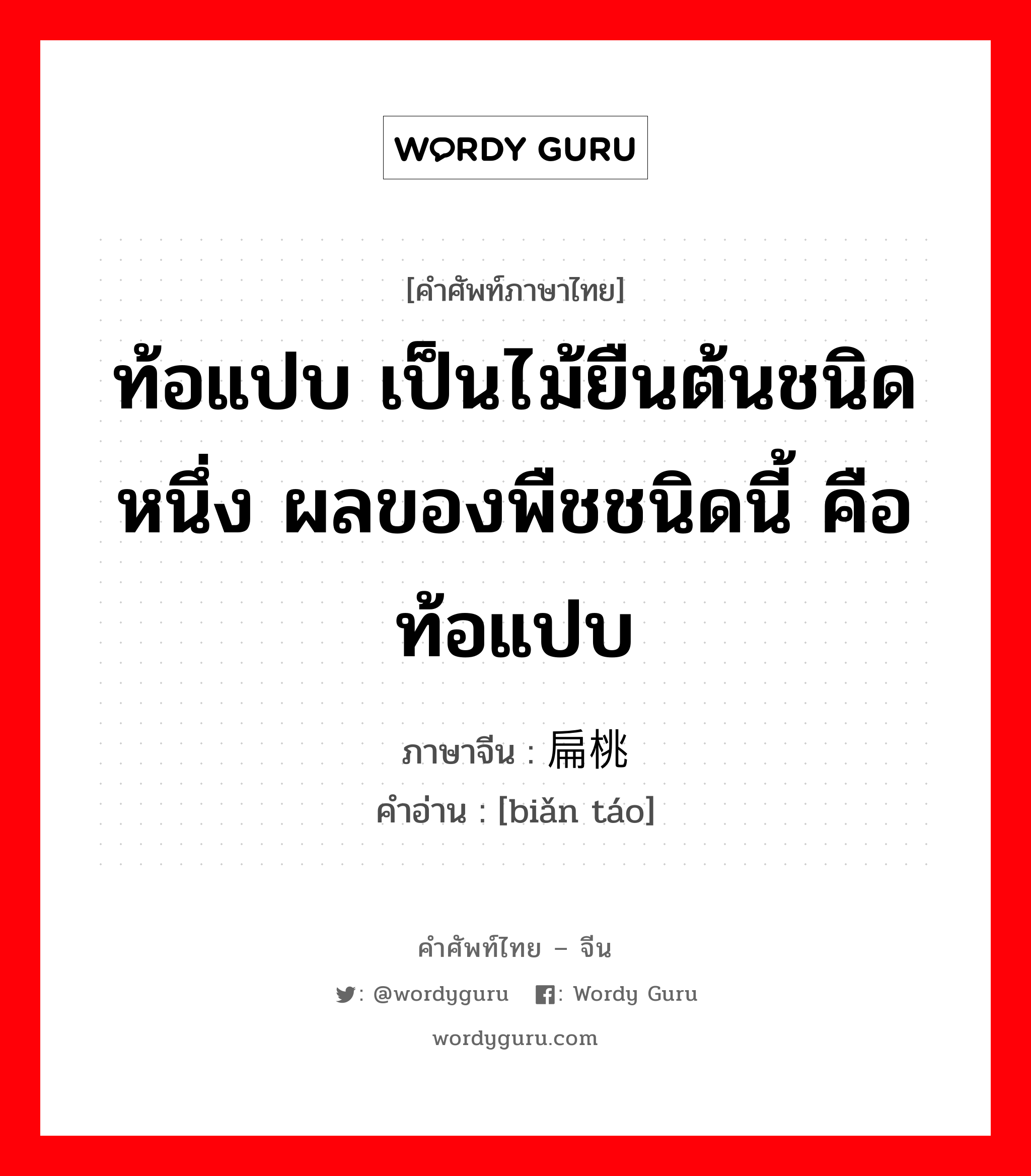 ท้อแปบ เป็นไม้ยืนต้นชนิดหนึ่ง ผลของพืชชนิดนี้ คือท้อแปบ ภาษาจีนคืออะไร, คำศัพท์ภาษาไทย - จีน ท้อแปบ เป็นไม้ยืนต้นชนิดหนึ่ง ผลของพืชชนิดนี้ คือท้อแปบ ภาษาจีน 扁桃 คำอ่าน [biǎn táo]