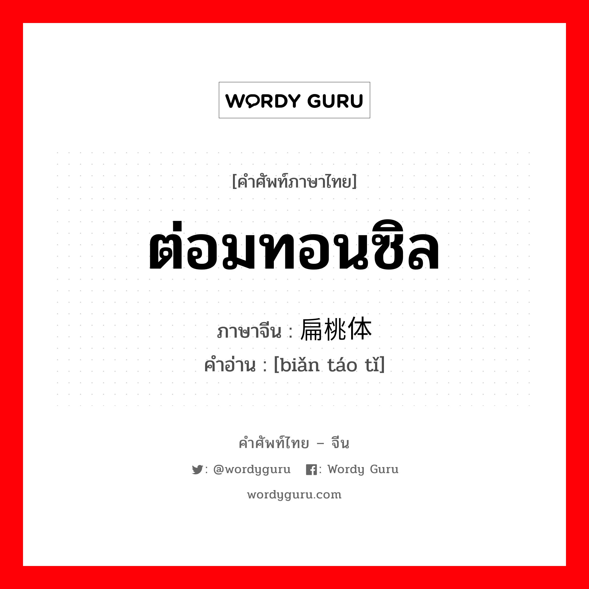 ต่อมทอนซิล ภาษาจีนคืออะไร, คำศัพท์ภาษาไทย - จีน ต่อมทอนซิล ภาษาจีน 扁桃体 คำอ่าน [biǎn táo tǐ]