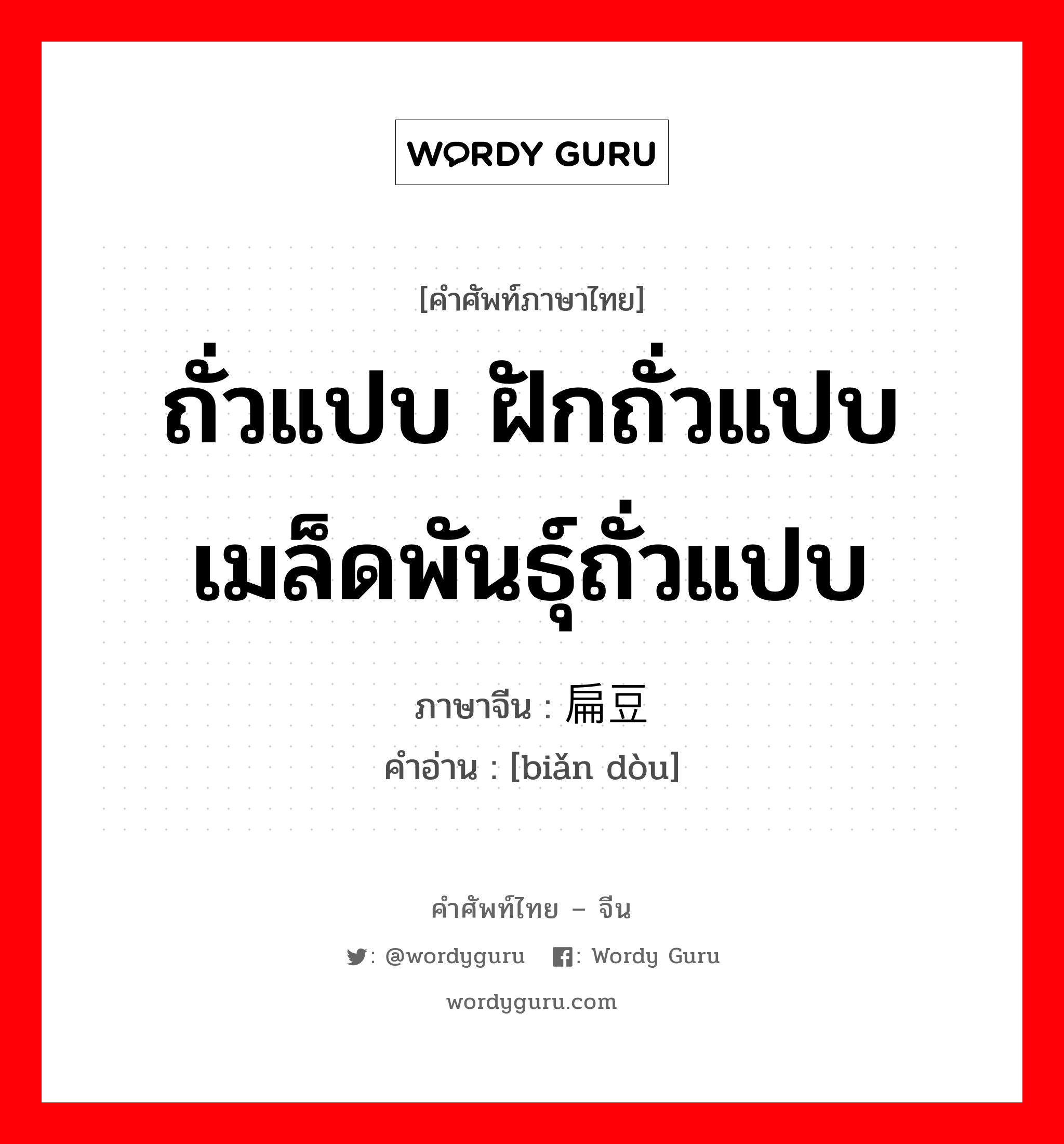 ถั่วแปบ ฝักถั่วแปบ เมล็ดพันธุ์ถั่วแปบ ภาษาจีนคืออะไร, คำศัพท์ภาษาไทย - จีน ถั่วแปบ ฝักถั่วแปบ เมล็ดพันธุ์ถั่วแปบ ภาษาจีน 扁豆 คำอ่าน [biǎn dòu]