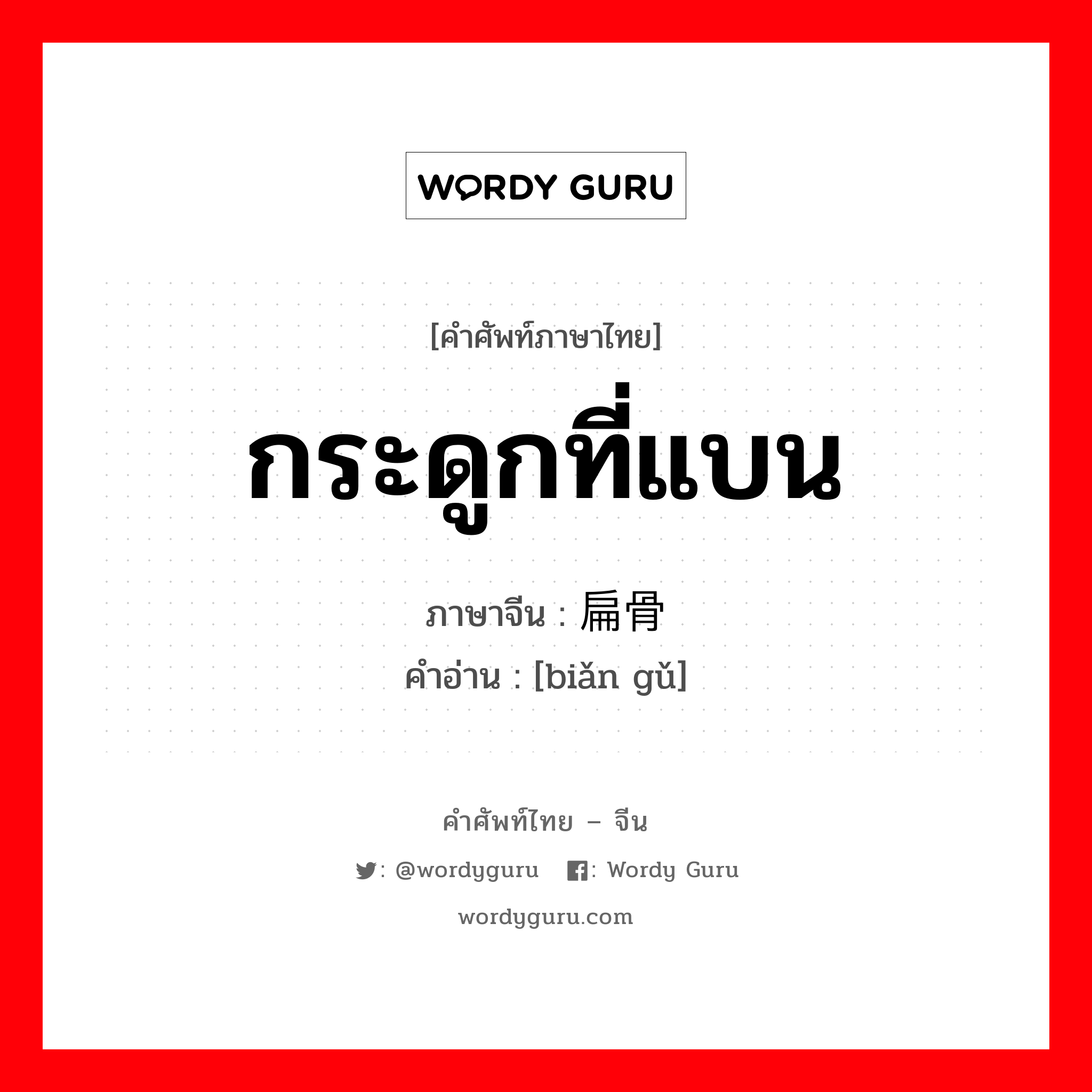 กระดูกที่แบน ภาษาจีนคืออะไร, คำศัพท์ภาษาไทย - จีน กระดูกที่แบน ภาษาจีน 扁骨 คำอ่าน [biǎn gǔ]