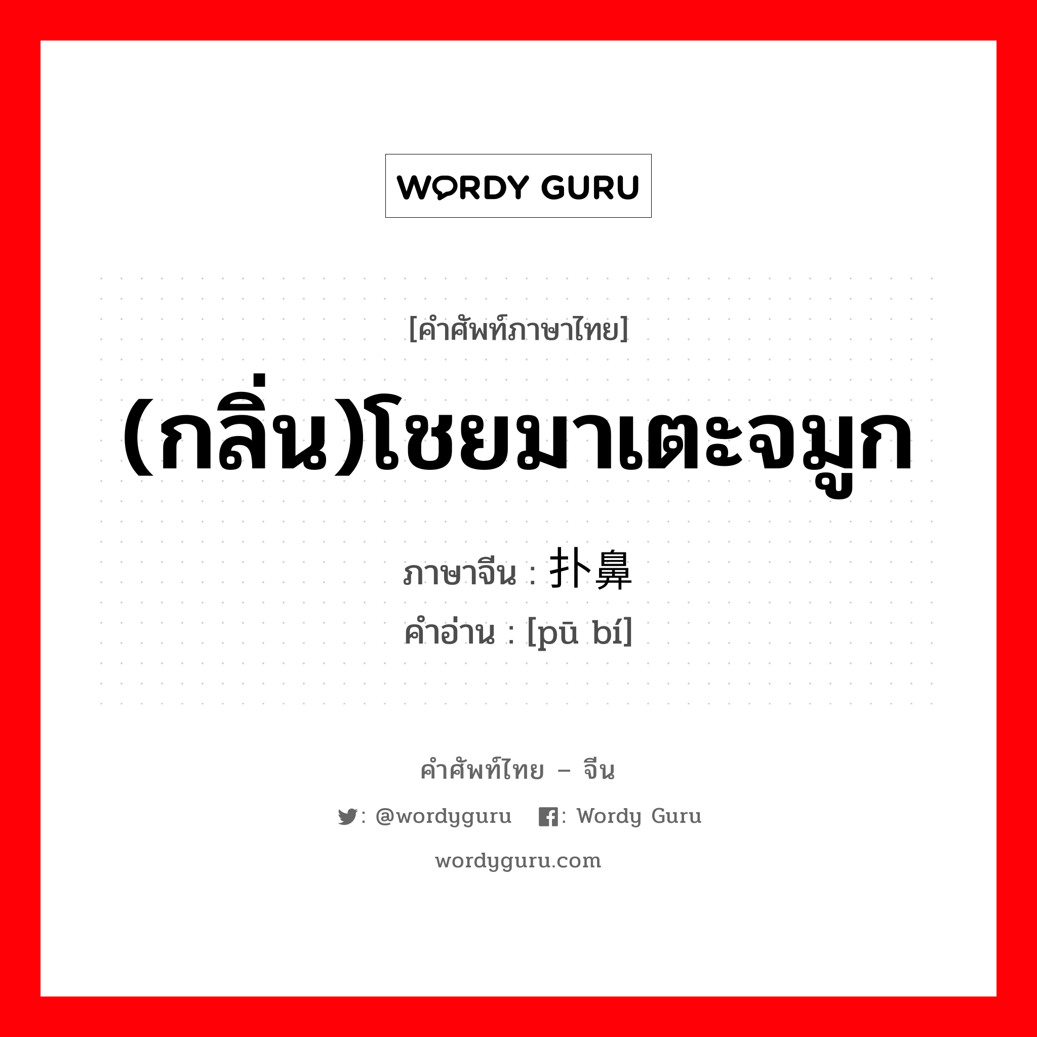 (กลิ่น)โชยมาเตะจมูก ภาษาจีนคืออะไร, คำศัพท์ภาษาไทย - จีน (กลิ่น)โชยมาเตะจมูก ภาษาจีน 扑鼻 คำอ่าน [pū bí]