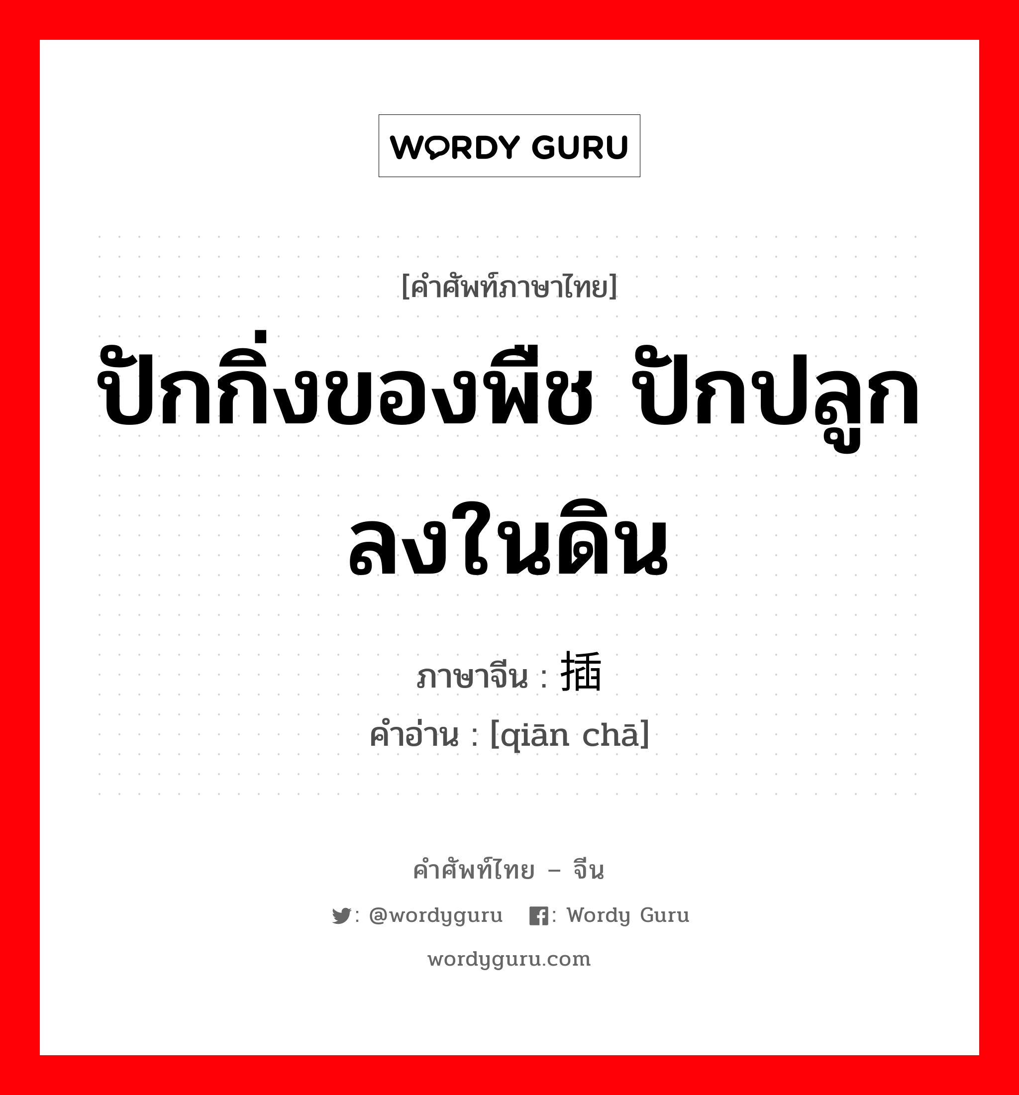 ปักกิ่งของพืช ปักปลูกลงในดิน ภาษาจีนคืออะไร, คำศัพท์ภาษาไทย - จีน ปักกิ่งของพืช ปักปลูกลงในดิน ภาษาจีน 扦插 คำอ่าน [qiān chā]