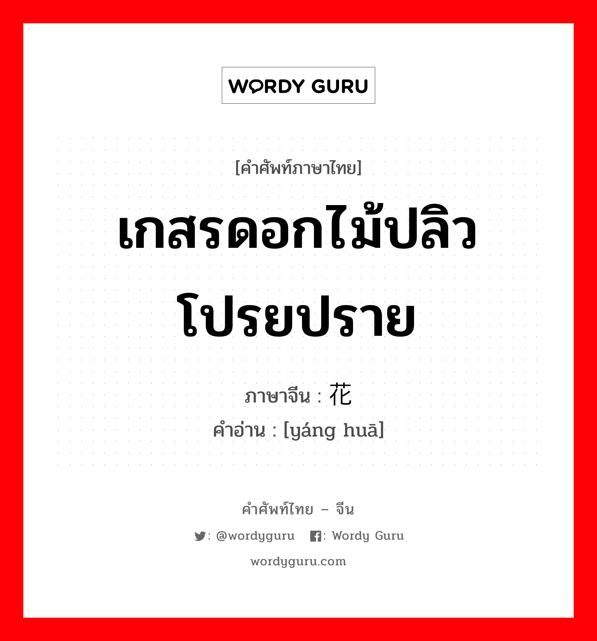 เกสรดอกไม้ปลิวโปรยปราย ภาษาจีนคืออะไร, คำศัพท์ภาษาไทย - จีน เกสรดอกไม้ปลิวโปรยปราย ภาษาจีน 扬花 คำอ่าน [yáng huā]