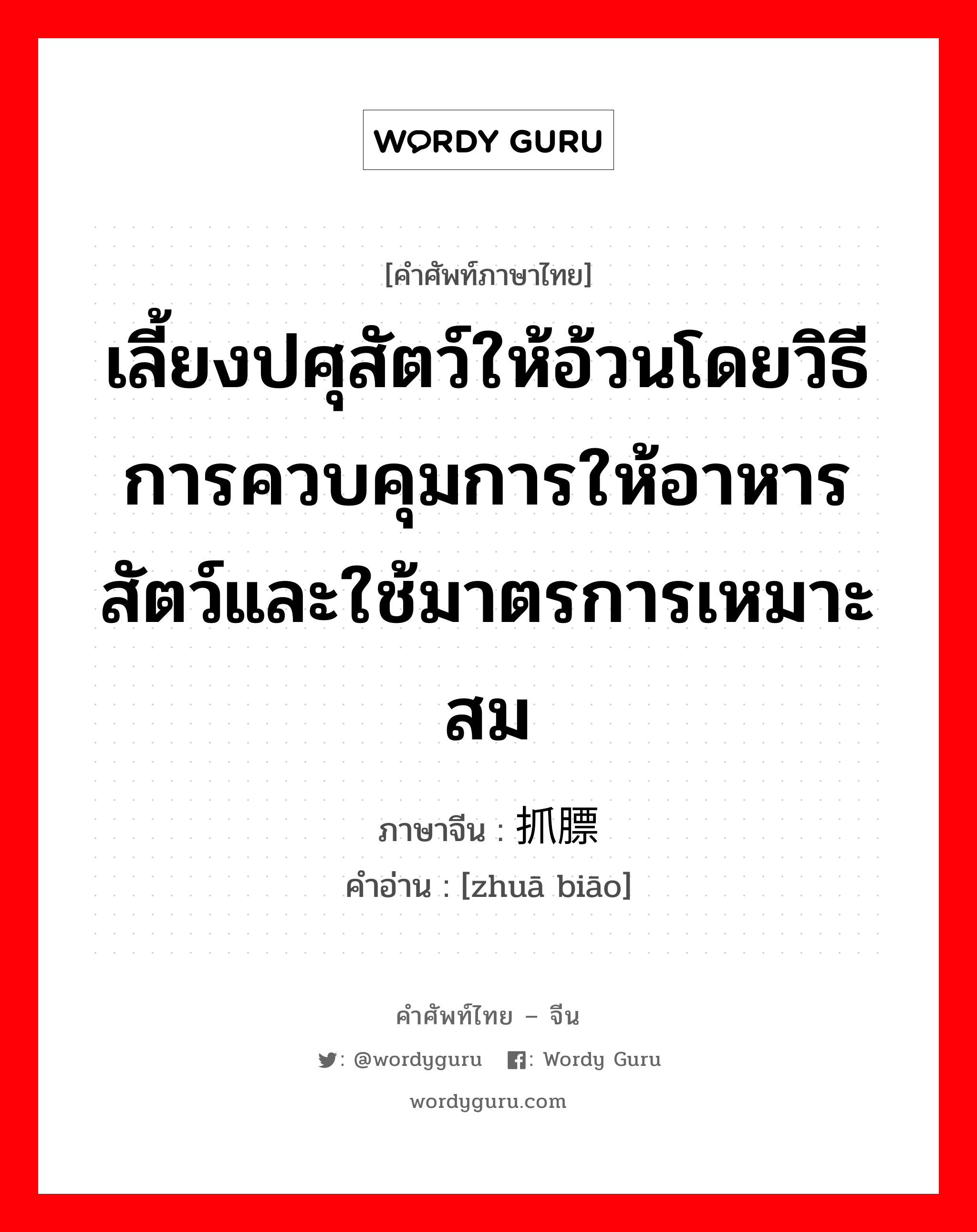 เลี้ยงปศุสัตว์ให้อ้วนโดยวิธีการควบคุมการให้อาหารสัตว์และใช้มาตรการเหมาะสม ภาษาจีนคืออะไร, คำศัพท์ภาษาไทย - จีน เลี้ยงปศุสัตว์ให้อ้วนโดยวิธีการควบคุมการให้อาหารสัตว์และใช้มาตรการเหมาะสม ภาษาจีน 抓膘 คำอ่าน [zhuā biāo]