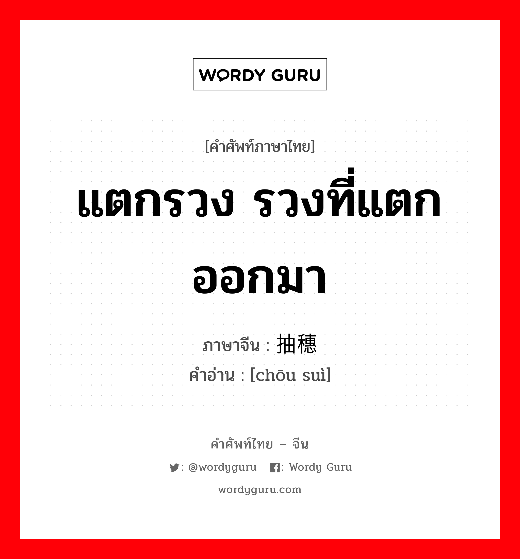 แตกรวง รวงที่แตกออกมา ภาษาจีนคืออะไร, คำศัพท์ภาษาไทย - จีน แตกรวง รวงที่แตกออกมา ภาษาจีน 抽穗 คำอ่าน [chōu suì]