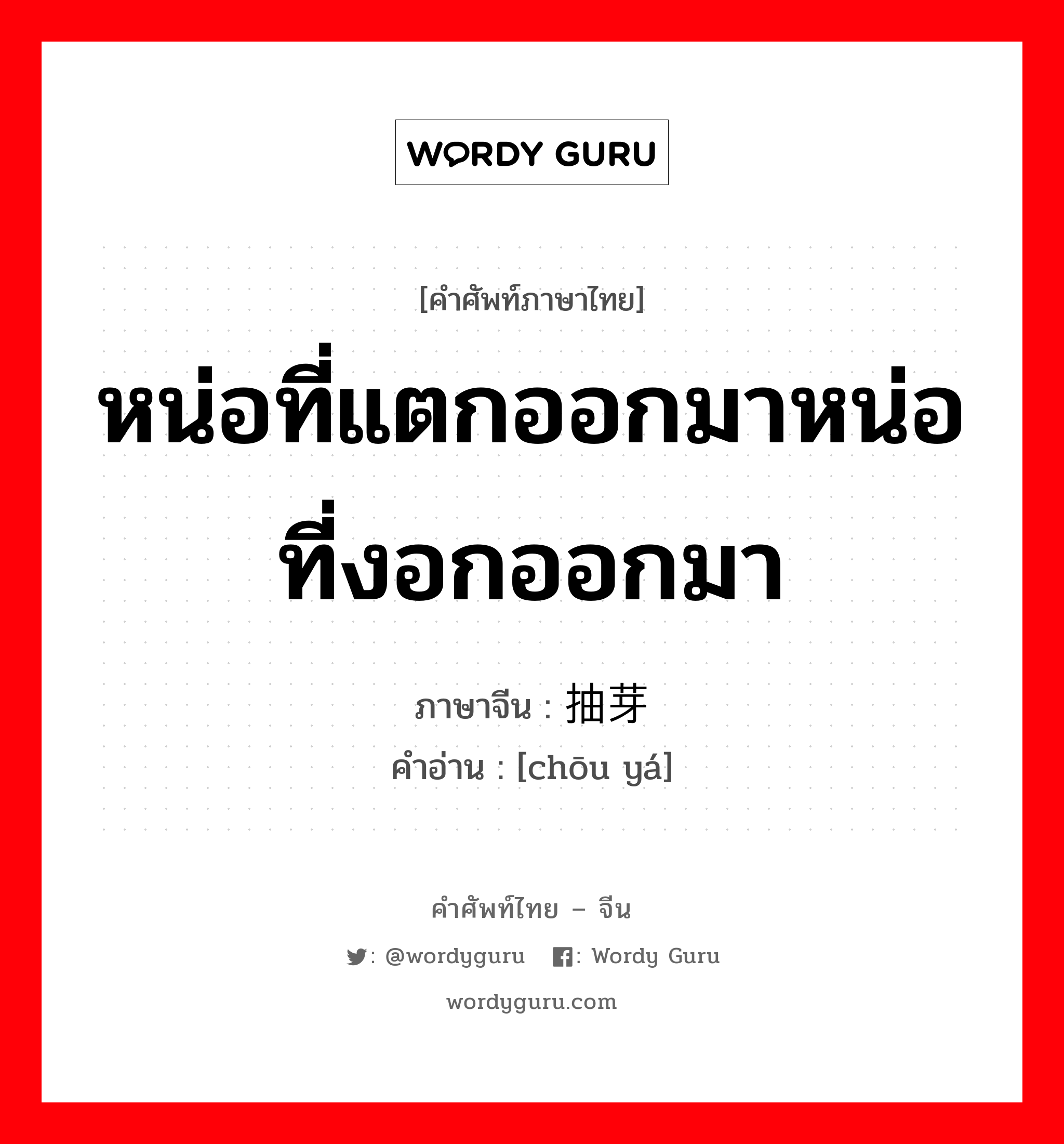 หน่อที่แตกออกมาหน่อที่งอกออกมา ภาษาจีนคืออะไร, คำศัพท์ภาษาไทย - จีน หน่อที่แตกออกมาหน่อที่งอกออกมา ภาษาจีน 抽芽 คำอ่าน [chōu yá]