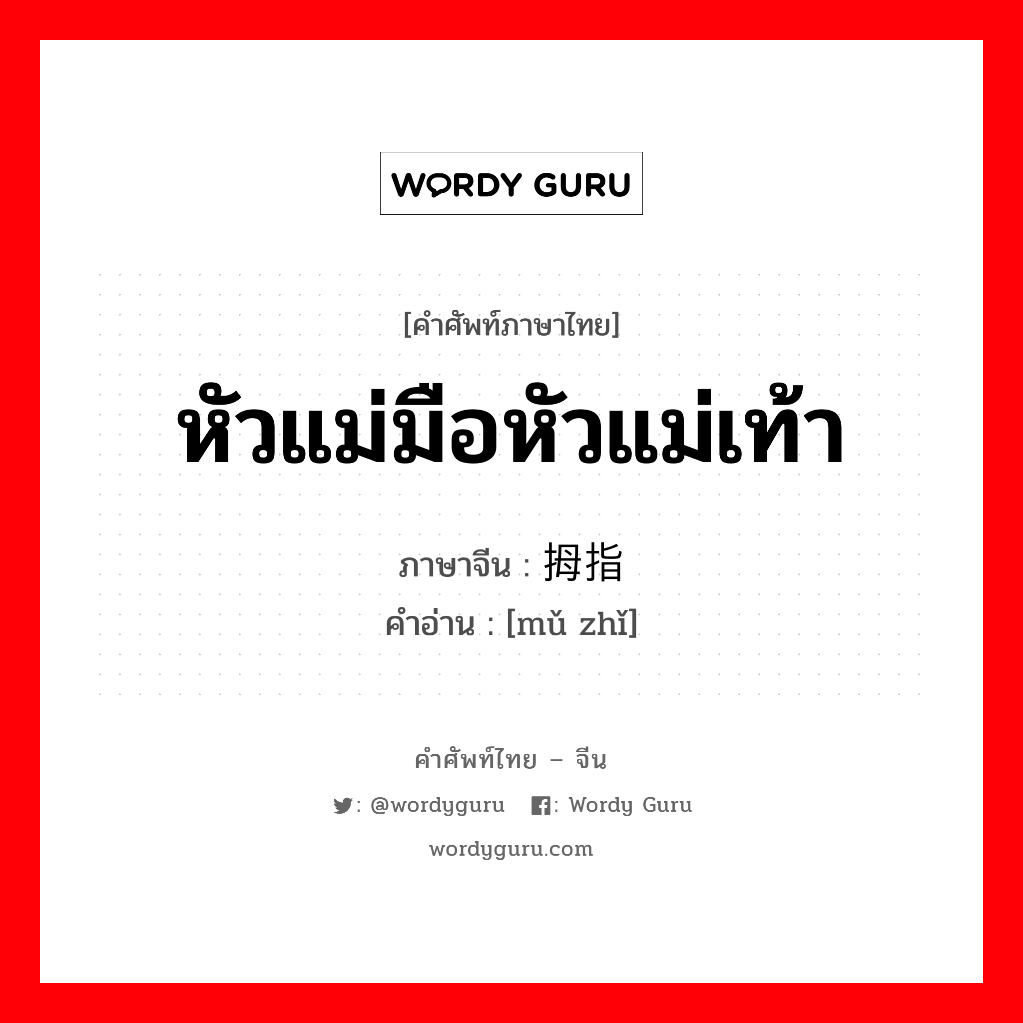 หัวแม่มือหัวแม่เท้า ภาษาจีนคืออะไร, คำศัพท์ภาษาไทย - จีน หัวแม่มือหัวแม่เท้า ภาษาจีน 拇指 คำอ่าน [mǔ zhǐ]