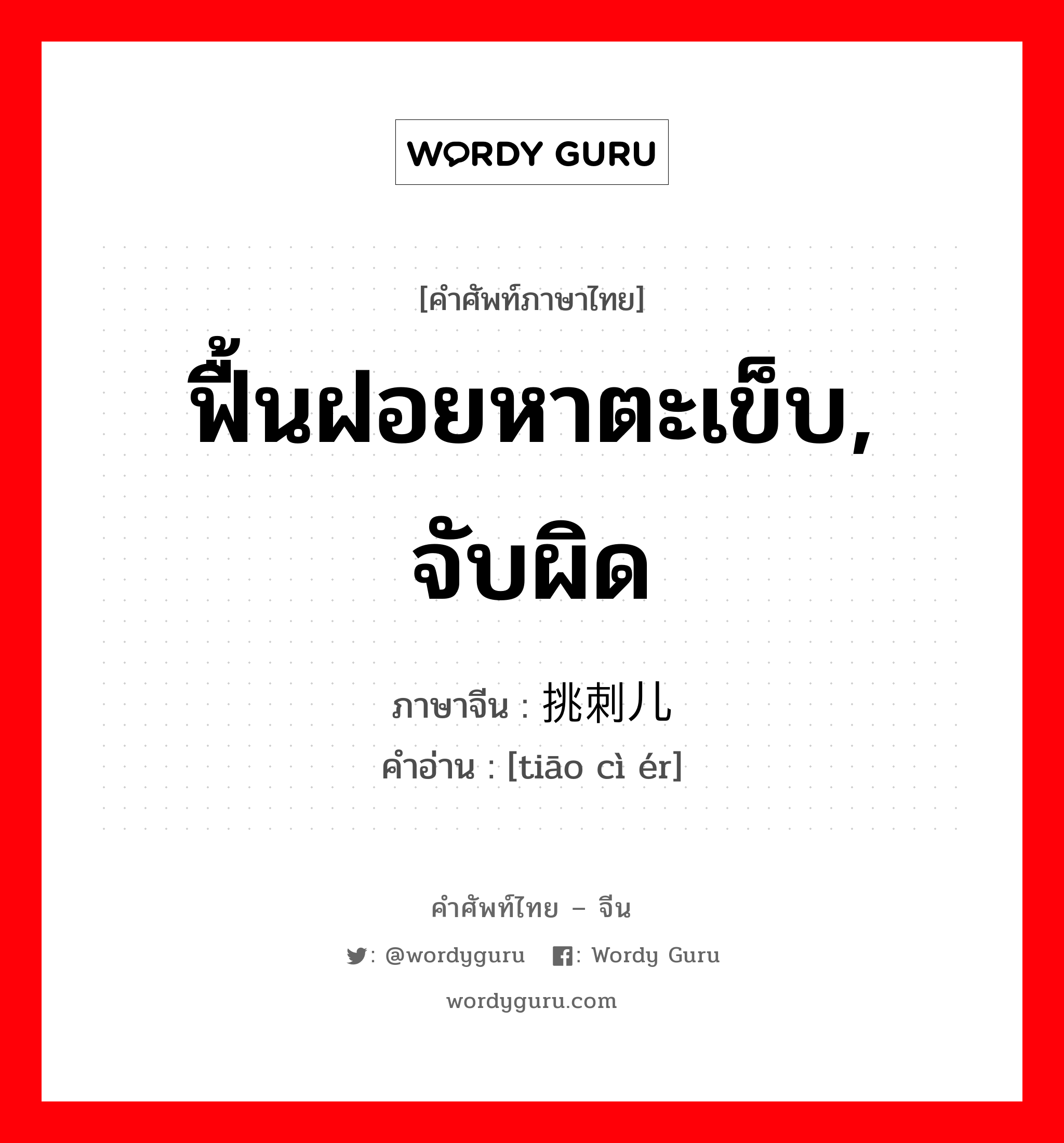 ฟื้นฝอยหาตะเข็บ, จับผิด ภาษาจีนคืออะไร, คำศัพท์ภาษาไทย - จีน ฟื้นฝอยหาตะเข็บ, จับผิด ภาษาจีน 挑刺儿 คำอ่าน [tiāo cì ér]