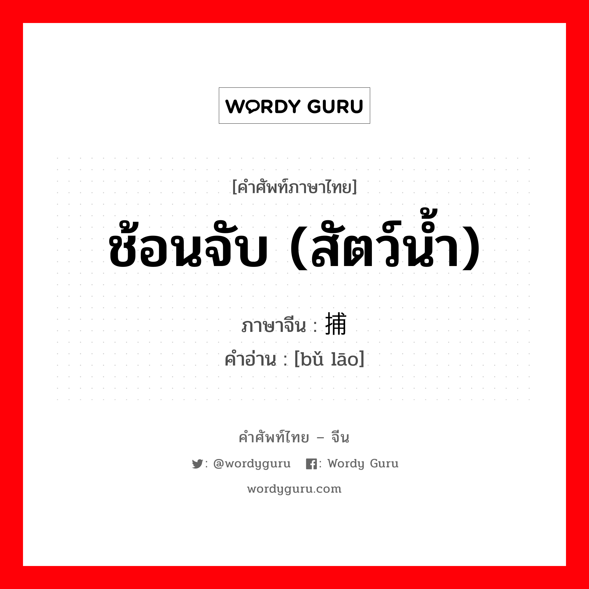 ช้อนจับ (สัตว์น้ำ) ภาษาจีนคืออะไร, คำศัพท์ภาษาไทย - จีน ช้อนจับ (สัตว์น้ำ) ภาษาจีน 捕捞 คำอ่าน [bǔ lāo]