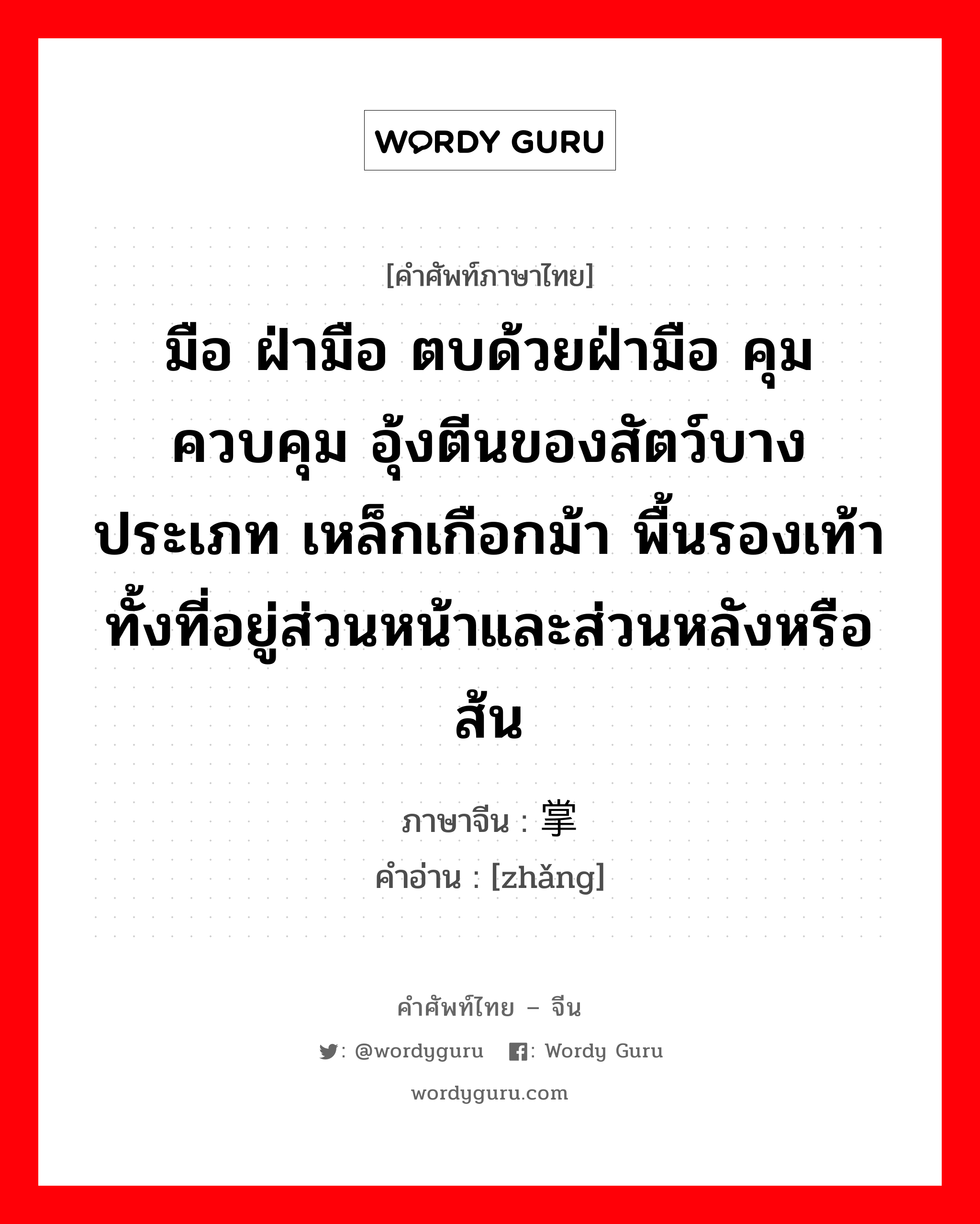 มือ ฝ่ามือ ตบด้วยฝ่ามือ คุม ควบคุม อุ้งตีนของสัตว์บางประเภท เหล็กเกือกม้า พื้นรองเท้าทั้งที่อยู่ส่วนหน้าและส่วนหลังหรือส้น ภาษาจีนคืออะไร, คำศัพท์ภาษาไทย - จีน มือ ฝ่ามือ ตบด้วยฝ่ามือ คุม ควบคุม อุ้งตีนของสัตว์บางประเภท เหล็กเกือกม้า พื้นรองเท้าทั้งที่อยู่ส่วนหน้าและส่วนหลังหรือส้น ภาษาจีน 掌 คำอ่าน [zhǎng]