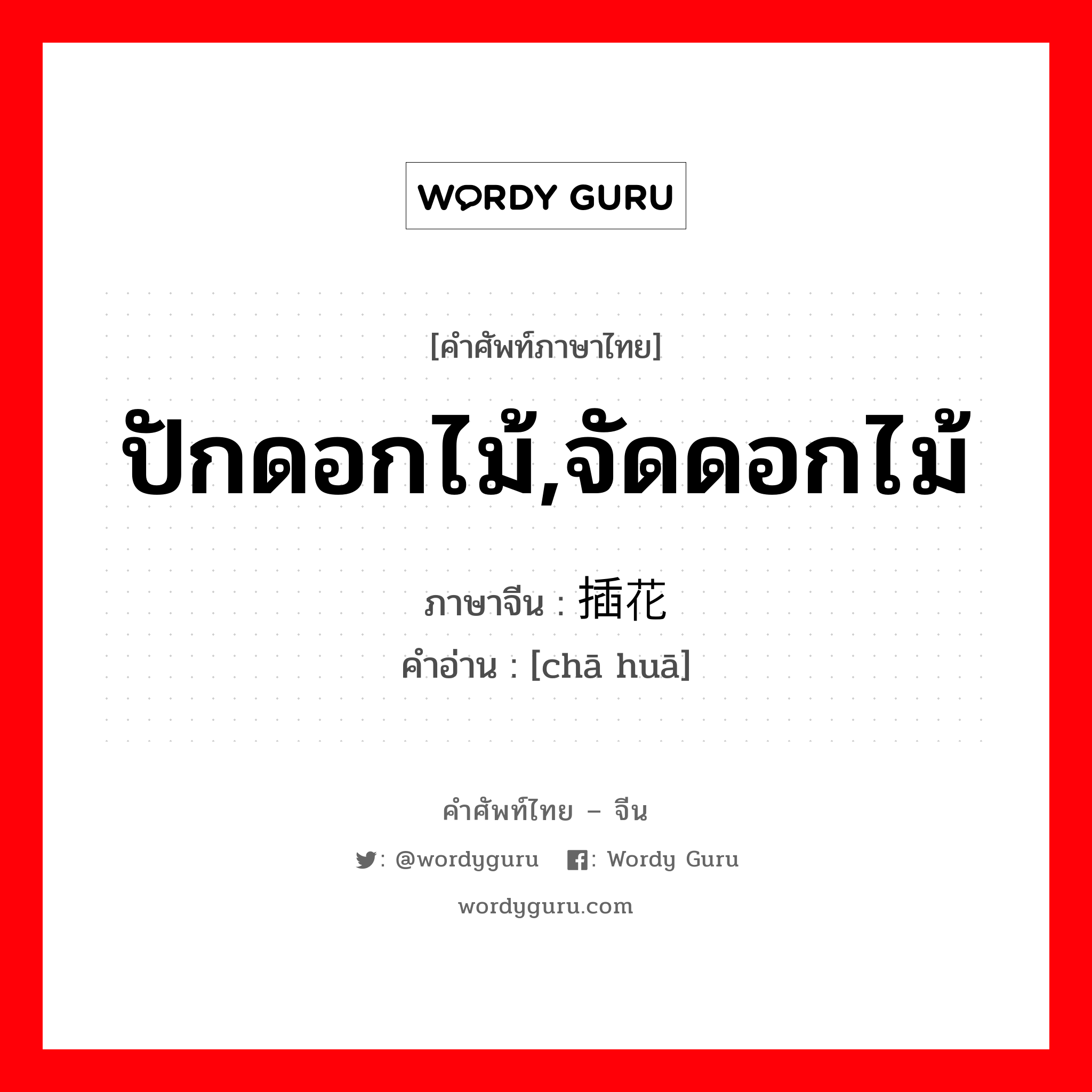 ปักดอกไม้,จัดดอกไม้ ภาษาจีนคืออะไร, คำศัพท์ภาษาไทย - จีน ปักดอกไม้,จัดดอกไม้ ภาษาจีน 插花 คำอ่าน [chā huā]