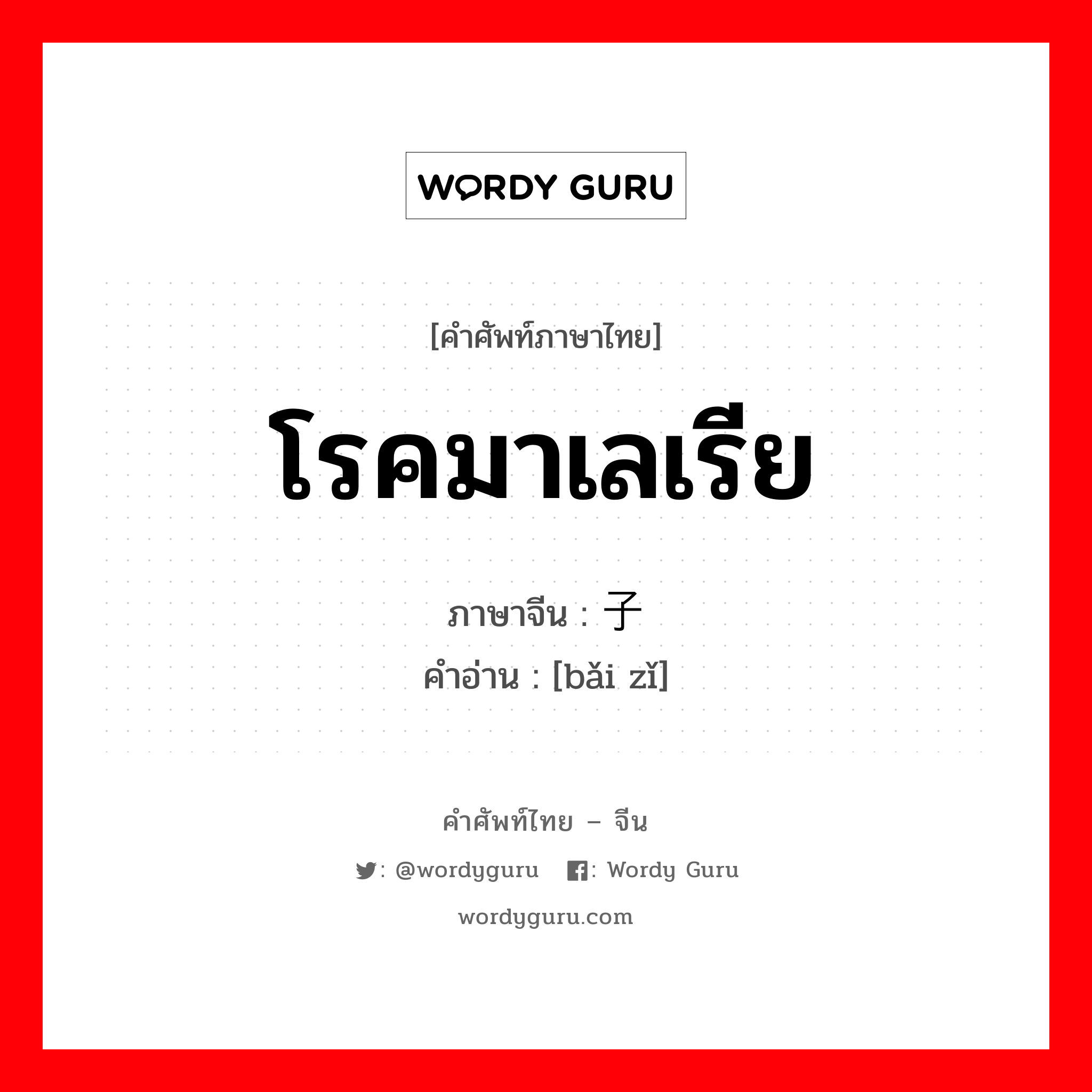 โรคมาเลเรีย ภาษาจีนคืออะไร, คำศัพท์ภาษาไทย - จีน โรคมาเลเรีย ภาษาจีน 摆子 คำอ่าน [bǎi zǐ]