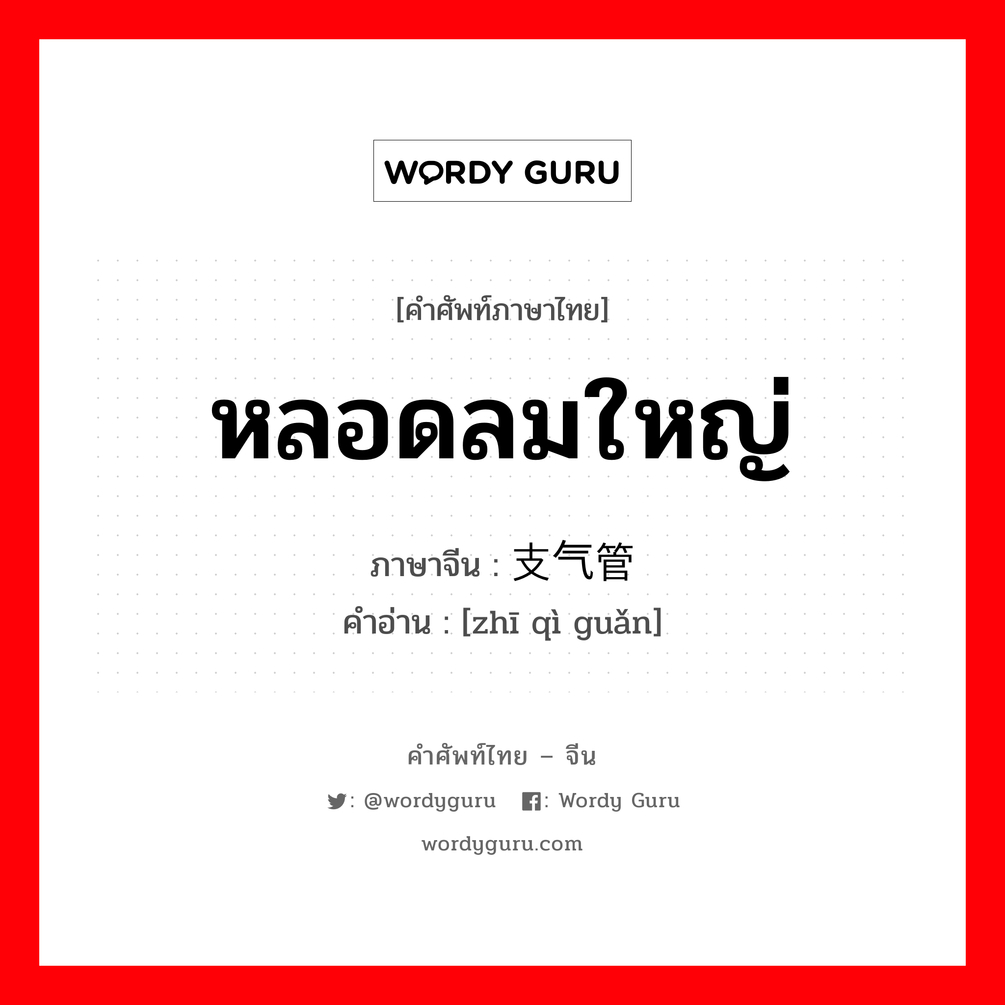 หลอดลมใหญ่ ภาษาจีนคืออะไร, คำศัพท์ภาษาไทย - จีน หลอดลมใหญ่ ภาษาจีน 支气管 คำอ่าน [zhī qì guǎn]