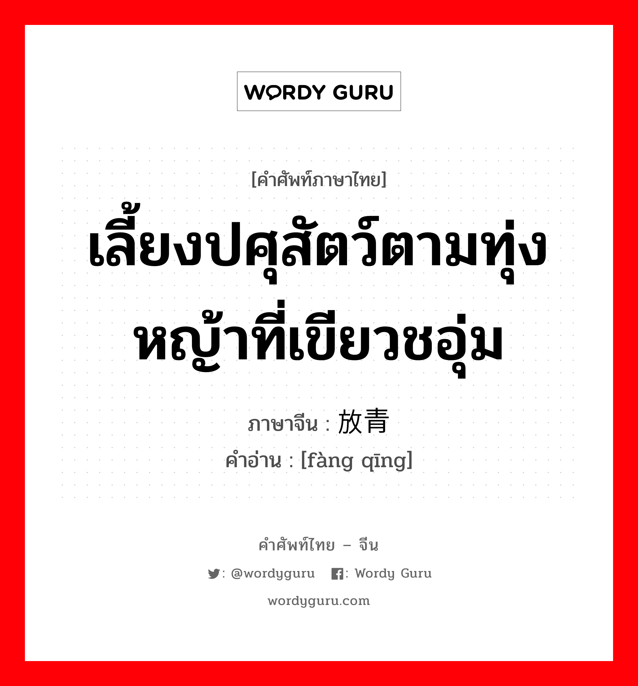 เลี้ยงปศุสัตว์ตามทุ่งหญ้าที่เขียวชอุ่ม ภาษาจีนคืออะไร, คำศัพท์ภาษาไทย - จีน เลี้ยงปศุสัตว์ตามทุ่งหญ้าที่เขียวชอุ่ม ภาษาจีน 放青 คำอ่าน [fàng qīng]