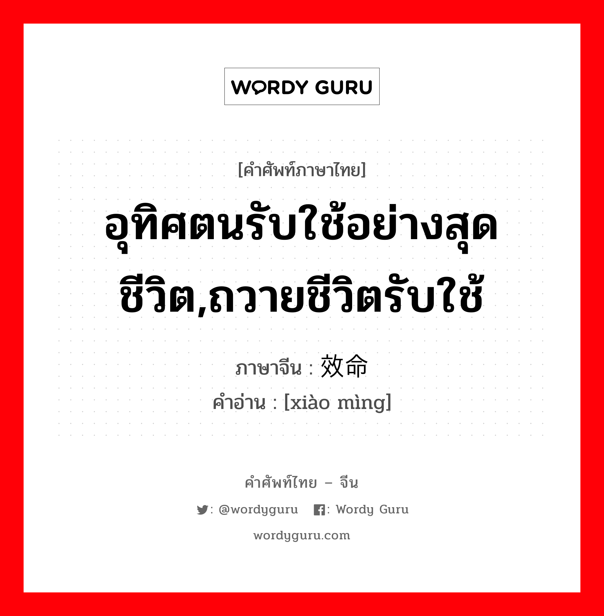 อุทิศตนรับใช้อย่างสุดชีวิต, ถวายชีวิตรับใช้ ภาษาจีนคืออะไร, คำศัพท์ภาษาไทย - จีน อุทิศตนรับใช้อย่างสุดชีวิต,ถวายชีวิตรับใช้ ภาษาจีน 效命 คำอ่าน [xiào mìng]