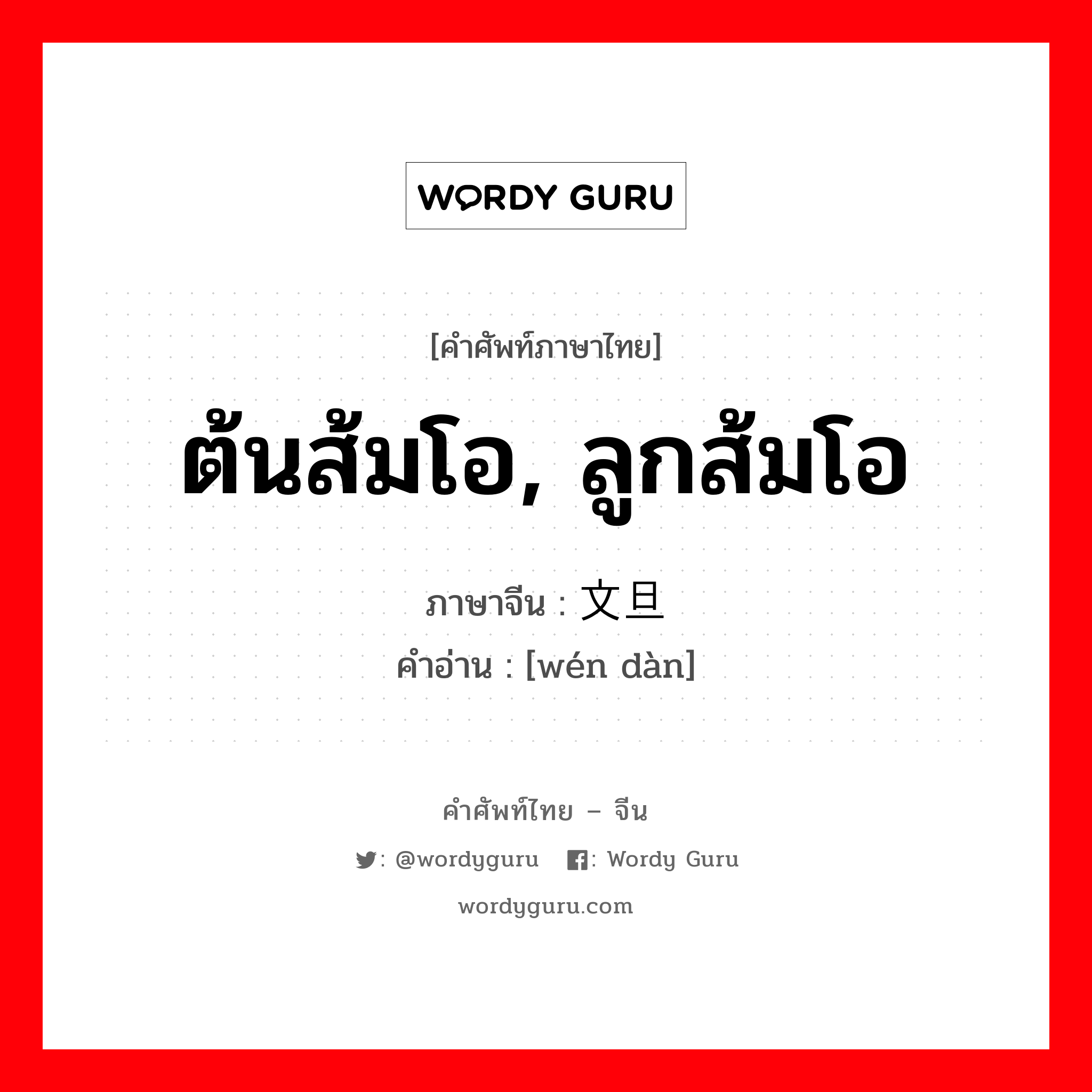 ต้นส้มโอ, ลูกส้มโอ ภาษาจีนคืออะไร, คำศัพท์ภาษาไทย - จีน ต้นส้มโอ, ลูกส้มโอ ภาษาจีน 文旦 คำอ่าน [wén dàn]