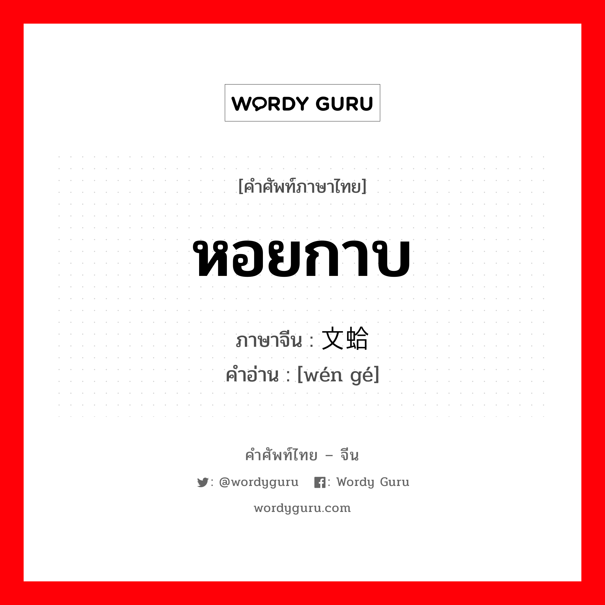 หอยกาบ ภาษาจีนคืออะไร, คำศัพท์ภาษาไทย - จีน หอยกาบ ภาษาจีน 文蛤 คำอ่าน [wén gé]