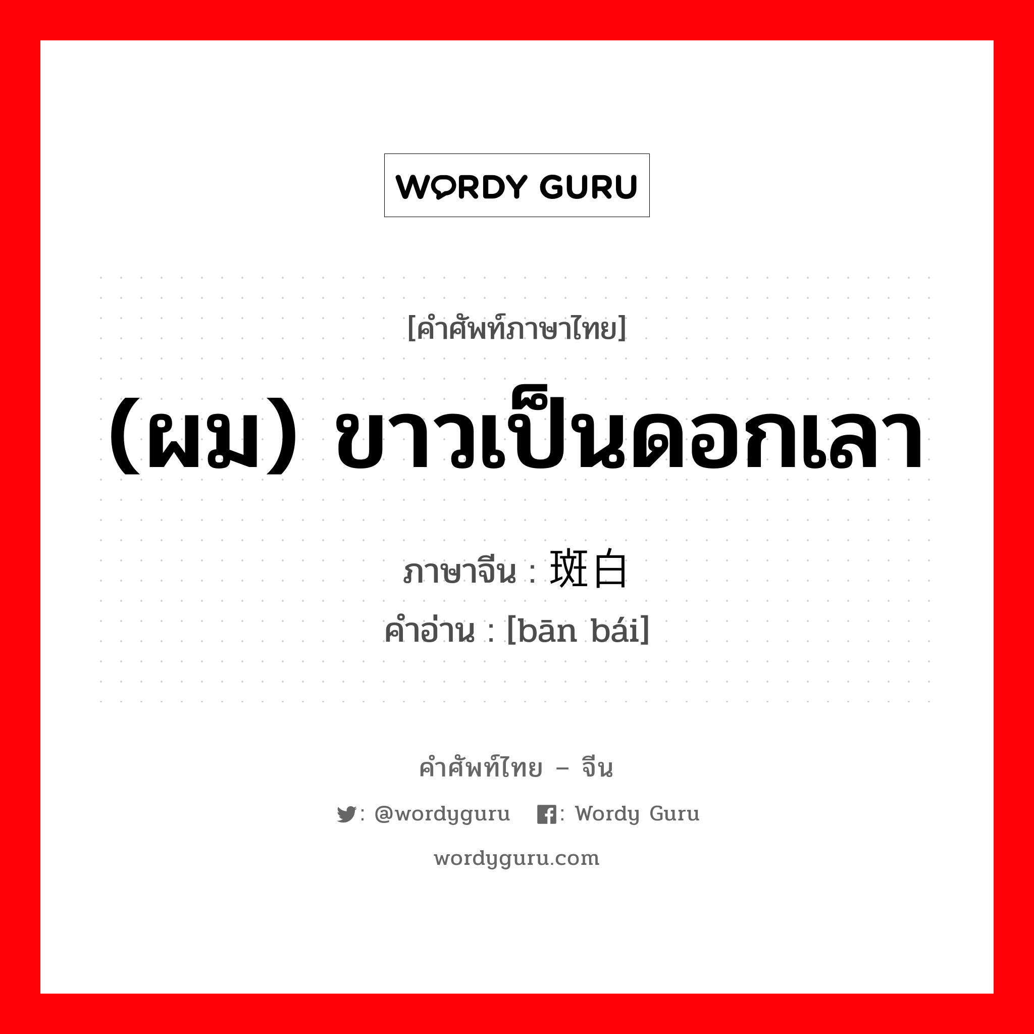 (ผม) ขาวเป็นดอกเลา ภาษาจีนคืออะไร, คำศัพท์ภาษาไทย - จีน (ผม) ขาวเป็นดอกเลา ภาษาจีน 斑白 คำอ่าน [bān bái]