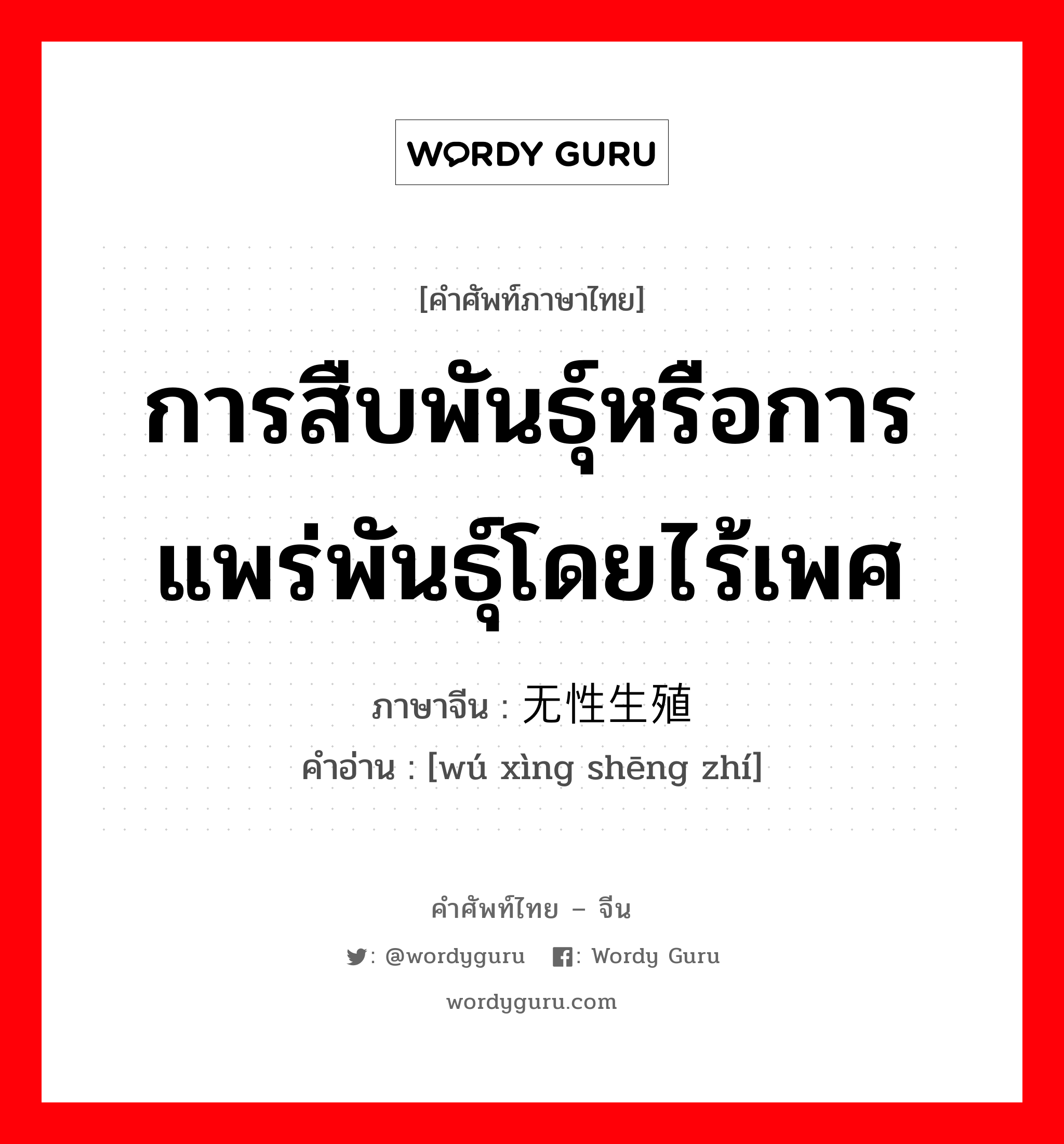 การสืบพันธุ์หรือการแพร่พันธุ์โดยไร้เพศ ภาษาจีนคืออะไร, คำศัพท์ภาษาไทย - จีน การสืบพันธุ์หรือการแพร่พันธุ์โดยไร้เพศ ภาษาจีน 无性生殖 คำอ่าน [wú xìng shēng zhí]