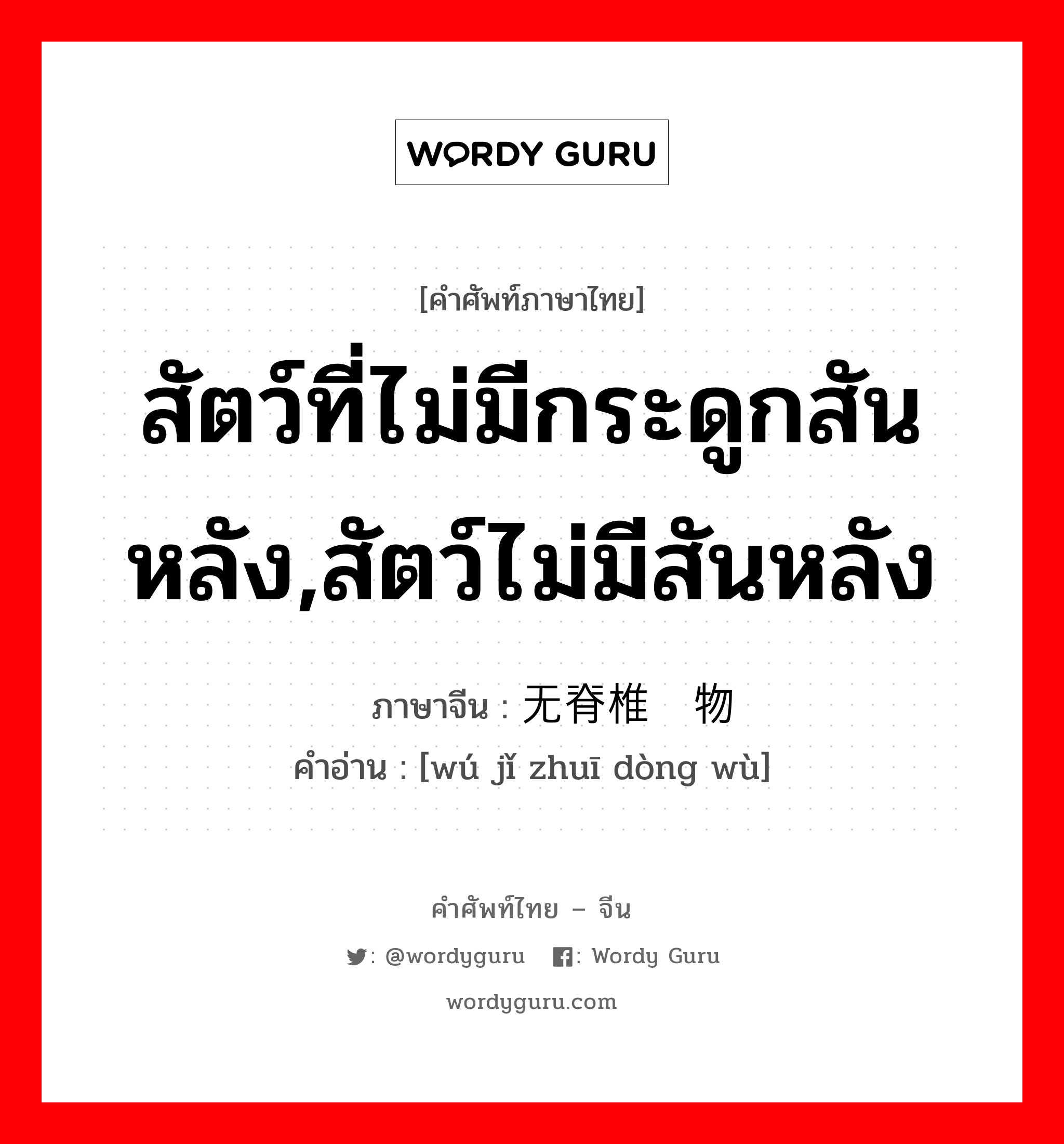 สัตว์ที่ไม่มีกระดูกสันหลัง,สัตว์ไม่มีสันหลัง ภาษาจีนคืออะไร, คำศัพท์ภาษาไทย - จีน สัตว์ที่ไม่มีกระดูกสันหลัง,สัตว์ไม่มีสันหลัง ภาษาจีน 无脊椎动物 คำอ่าน [wú jǐ zhuī dòng wù]