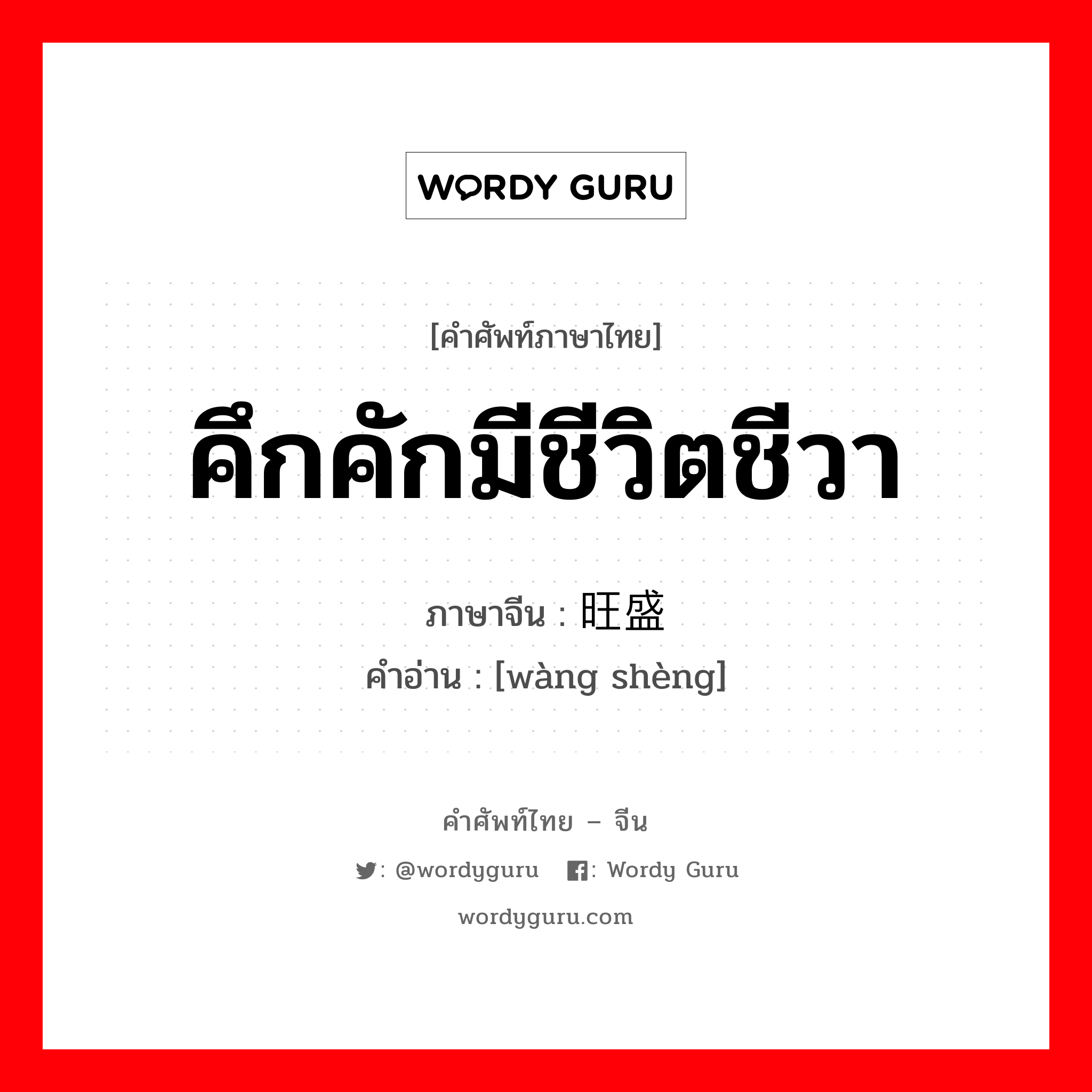 คึกคักมีชีวิตชีวา ภาษาจีนคืออะไร, คำศัพท์ภาษาไทย - จีน คึกคักมีชีวิตชีวา ภาษาจีน 旺盛 คำอ่าน [wàng shèng]