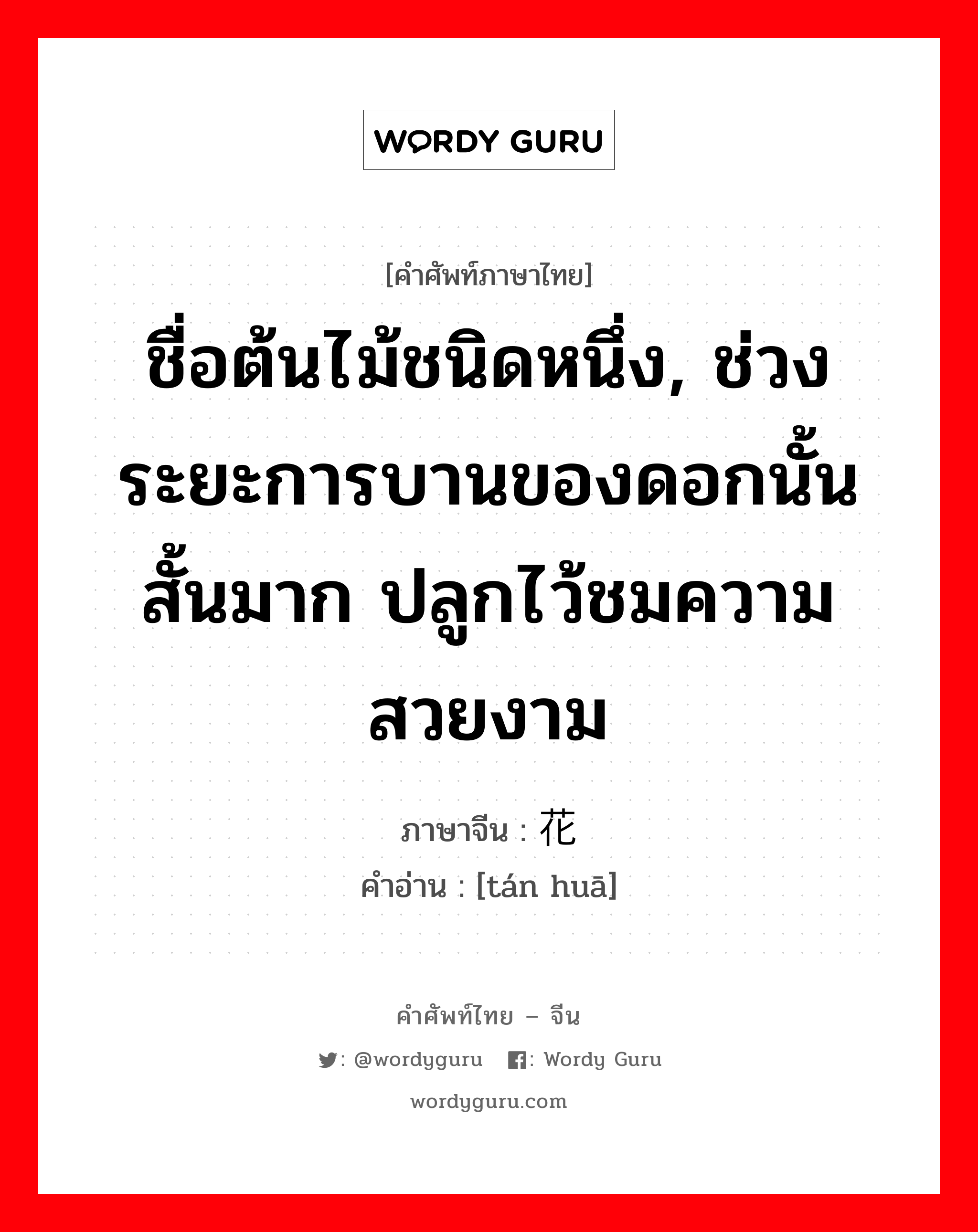 ชื่อต้นไม้ชนิดหนึ่ง ภาษาจีนคืออะไร, คำศัพท์ภาษาไทย - จีน ชื่อต้นไม้ชนิดหนึ่ง, ช่วงระยะการบานของดอกนั้นสั้นมาก ปลูกไว้ชมความสวยงาม ภาษาจีน 昙花 คำอ่าน [tán huā]