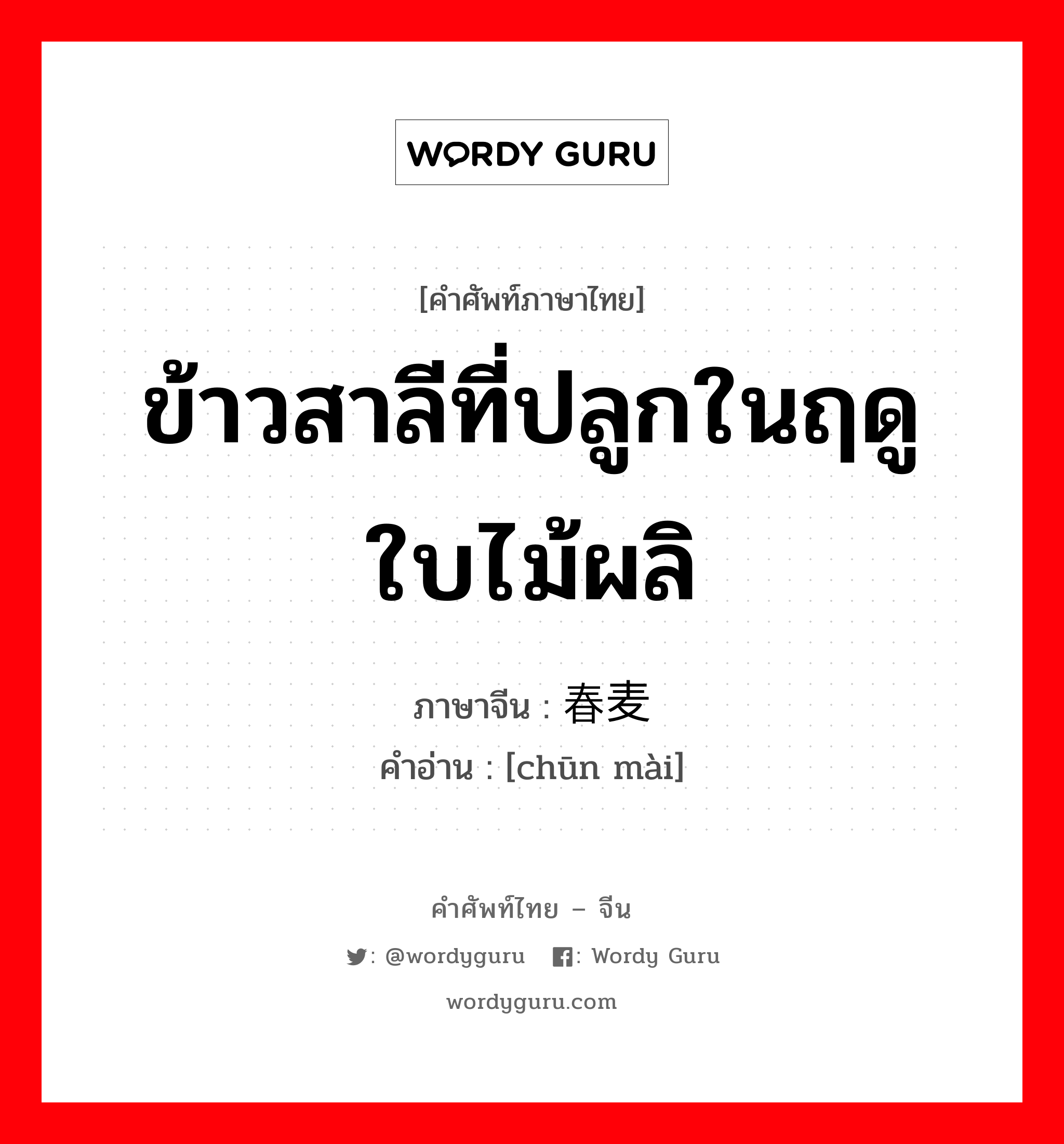 ข้าวสาลีที่ปลูกในฤดูใบไม้ผลิ ภาษาจีนคืออะไร, คำศัพท์ภาษาไทย - จีน ข้าวสาลีที่ปลูกในฤดูใบไม้ผลิ ภาษาจีน 春麦 คำอ่าน [chūn mài]