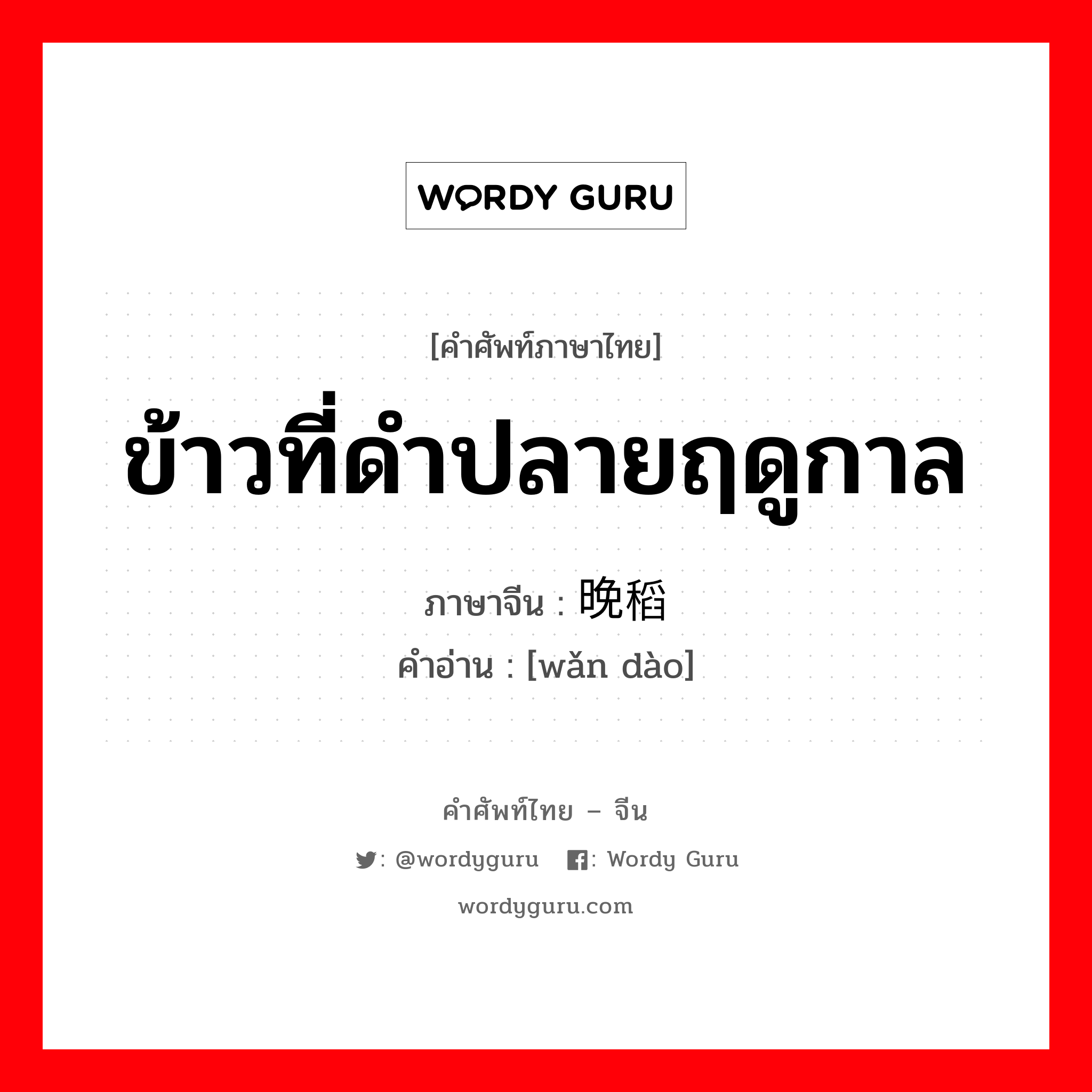 ข้าวที่ดำปลายฤดูกาล ภาษาจีนคืออะไร, คำศัพท์ภาษาไทย - จีน ข้าวที่ดำปลายฤดูกาล ภาษาจีน 晚稻 คำอ่าน [wǎn dào]