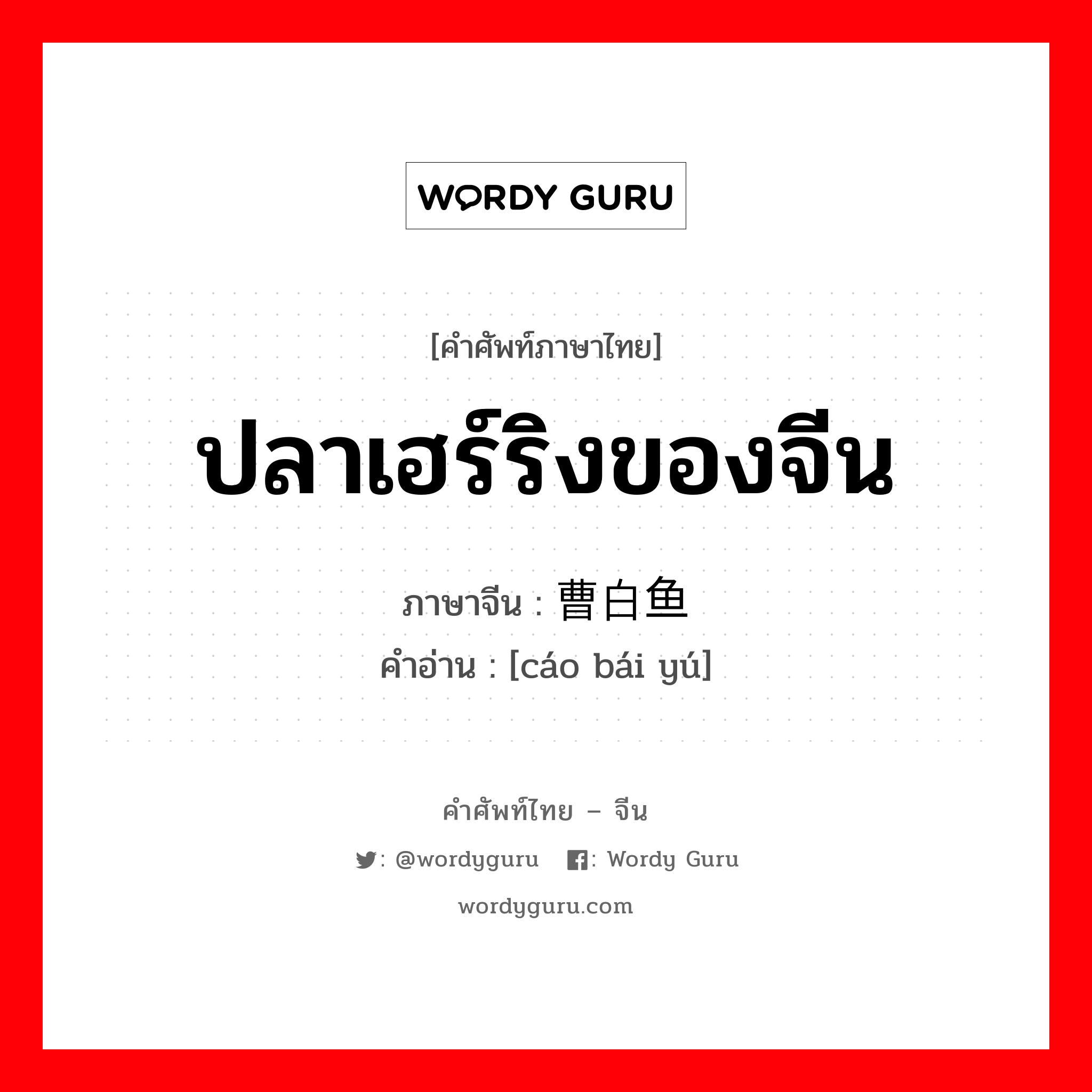 ปลาเฮร์ริงของจีน ภาษาจีนคืออะไร, คำศัพท์ภาษาไทย - จีน ปลาเฮร์ริงของจีน ภาษาจีน 曹白鱼 คำอ่าน [cáo bái yú]