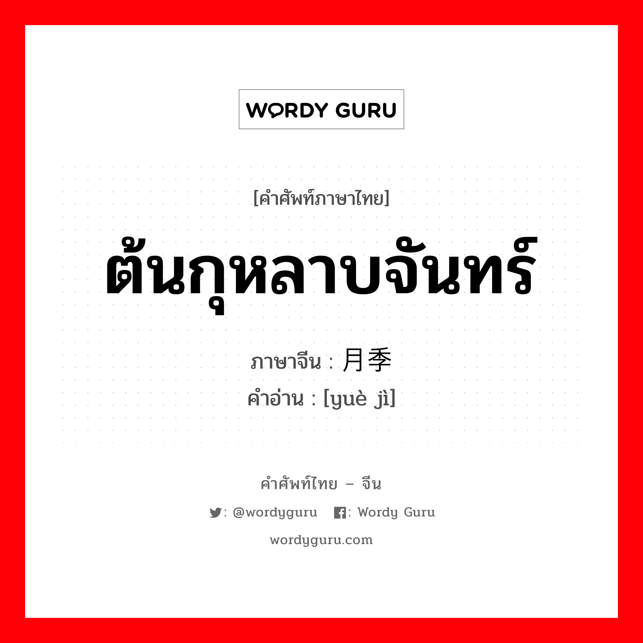 ต้นกุหลาบจันทร์ ภาษาจีนคืออะไร, คำศัพท์ภาษาไทย - จีน ต้นกุหลาบจันทร์ ภาษาจีน 月季 คำอ่าน [yuè jì]