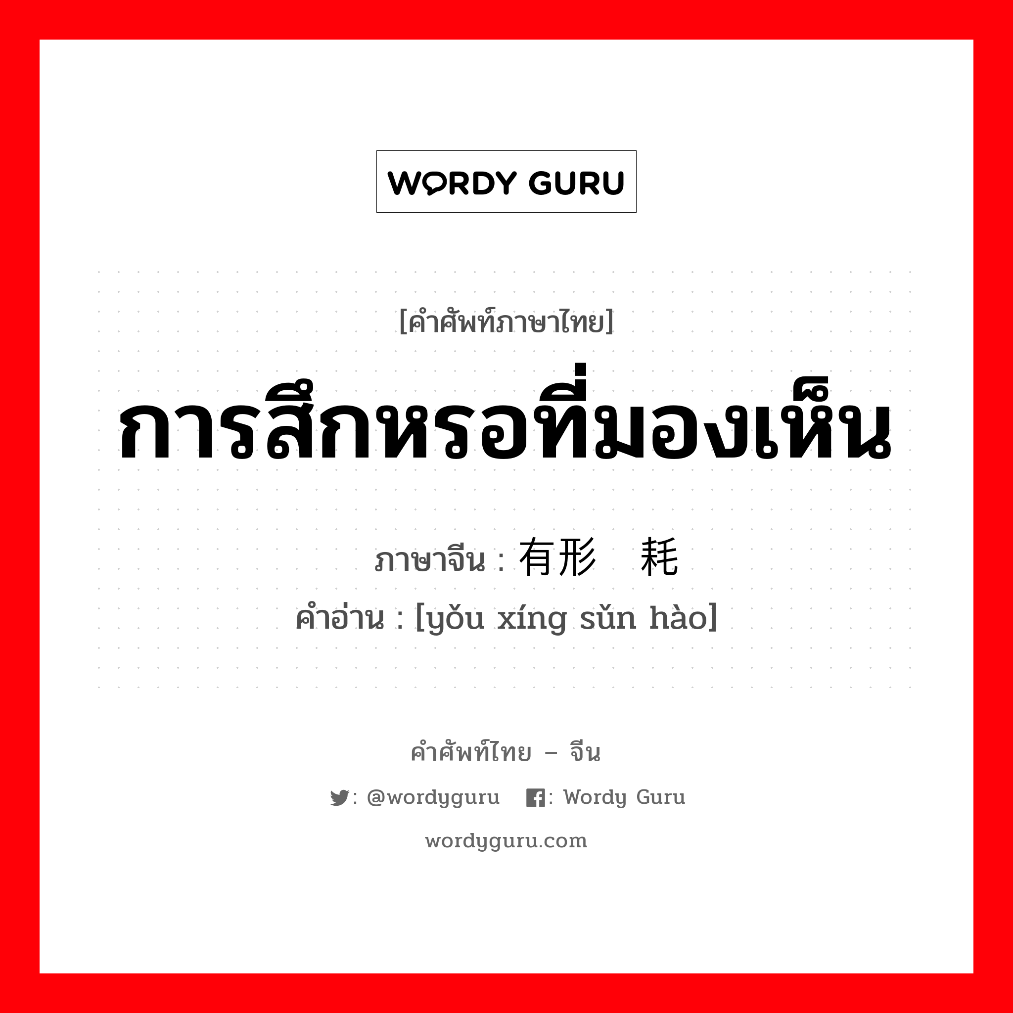 การสึกหรอที่มองเห็น ภาษาจีนคืออะไร, คำศัพท์ภาษาไทย - จีน การสึกหรอที่มองเห็น ภาษาจีน 有形损耗 คำอ่าน [yǒu xíng sǔn hào]