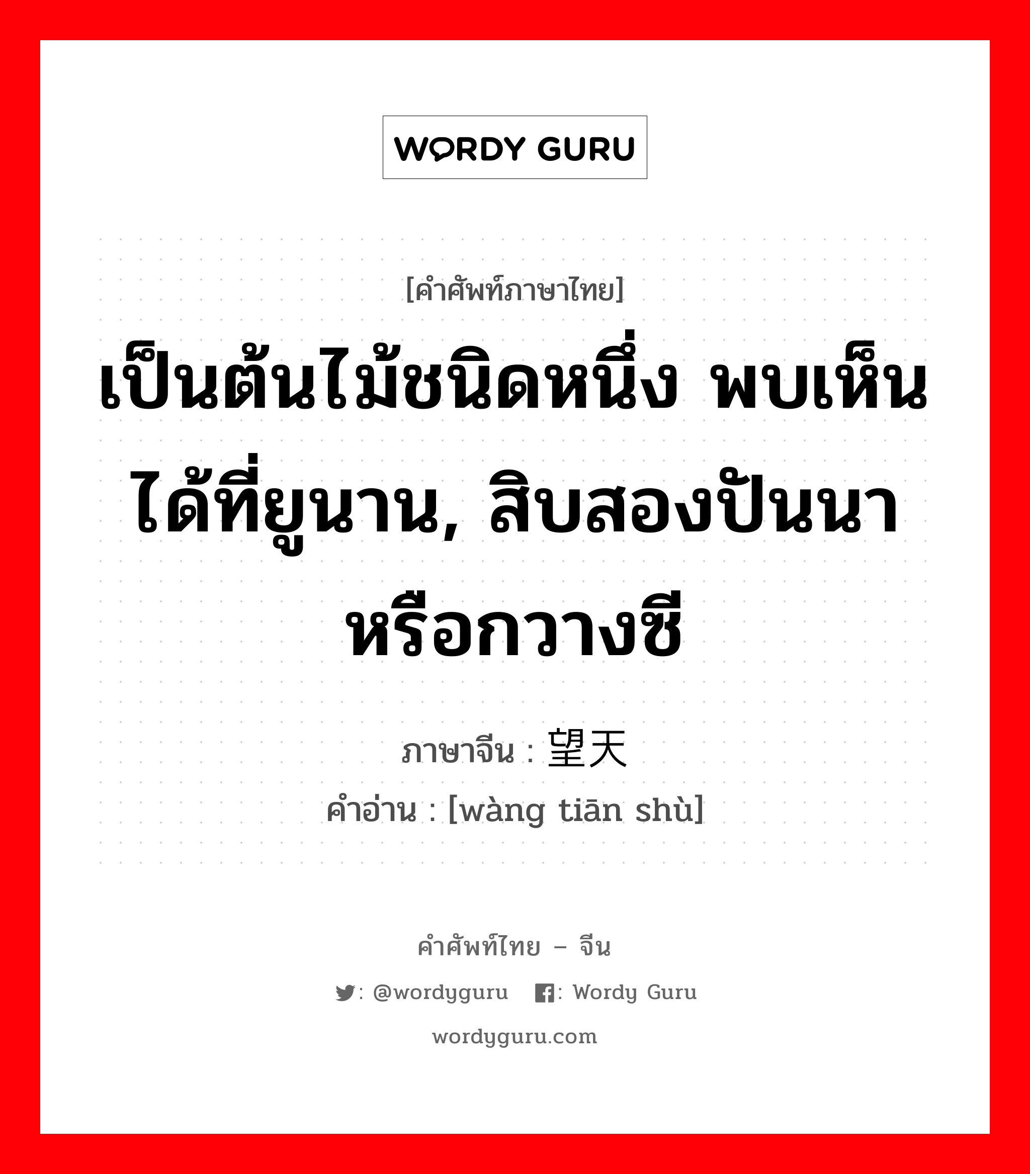 เป็นต้นไม้ชนิดหนึ่ง พบเห็นได้ที่ยูนาน, สิบสองปันนาหรือกวางซี ภาษาจีนคืออะไร, คำศัพท์ภาษาไทย - จีน เป็นต้นไม้ชนิดหนึ่ง พบเห็นได้ที่ยูนาน, สิบสองปันนาหรือกวางซี ภาษาจีน 望天树 คำอ่าน [wàng tiān shù]