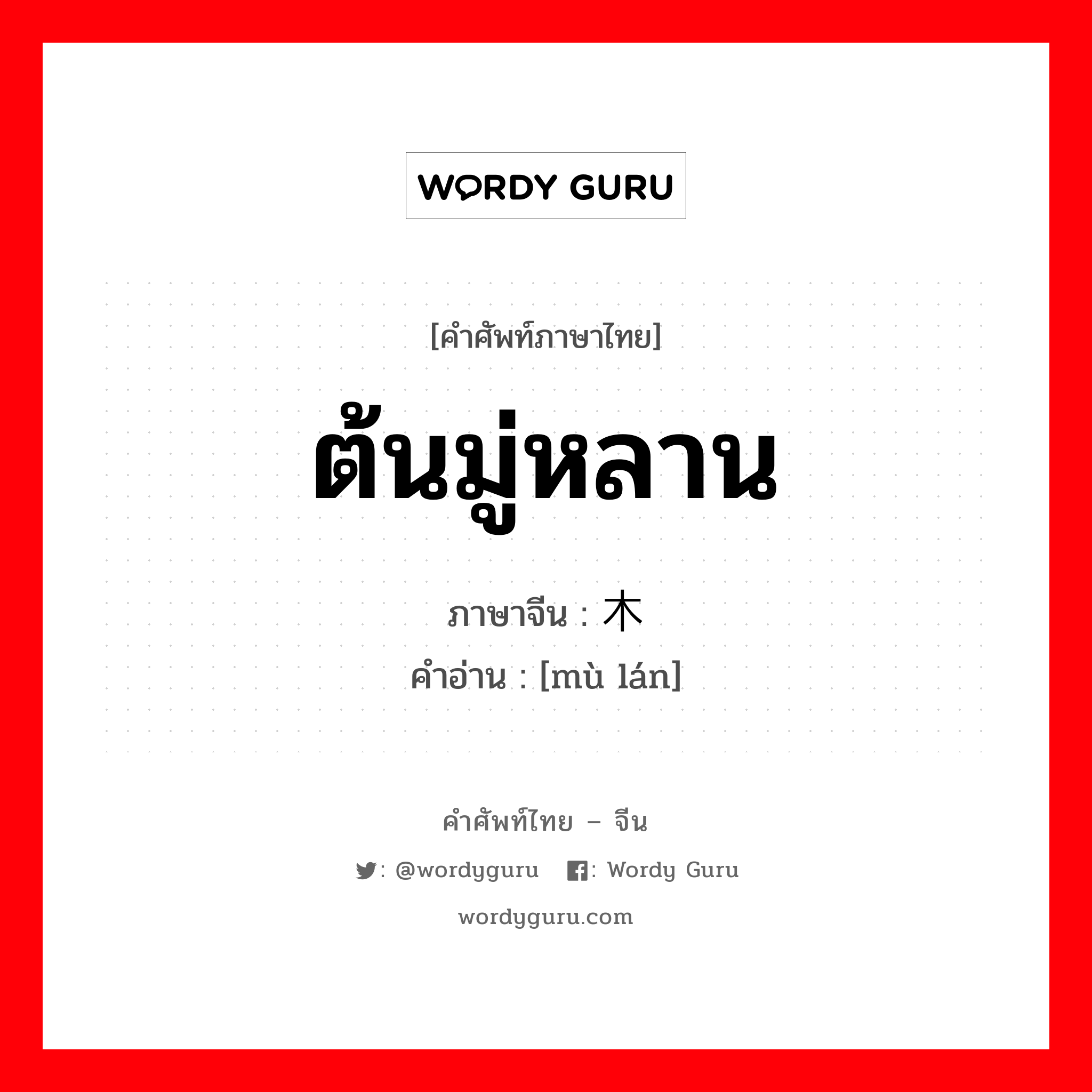 ต้นมู่หลาน ภาษาจีนคืออะไร, คำศัพท์ภาษาไทย - จีน ต้นมู่หลาน ภาษาจีน 木兰 คำอ่าน [mù lán]