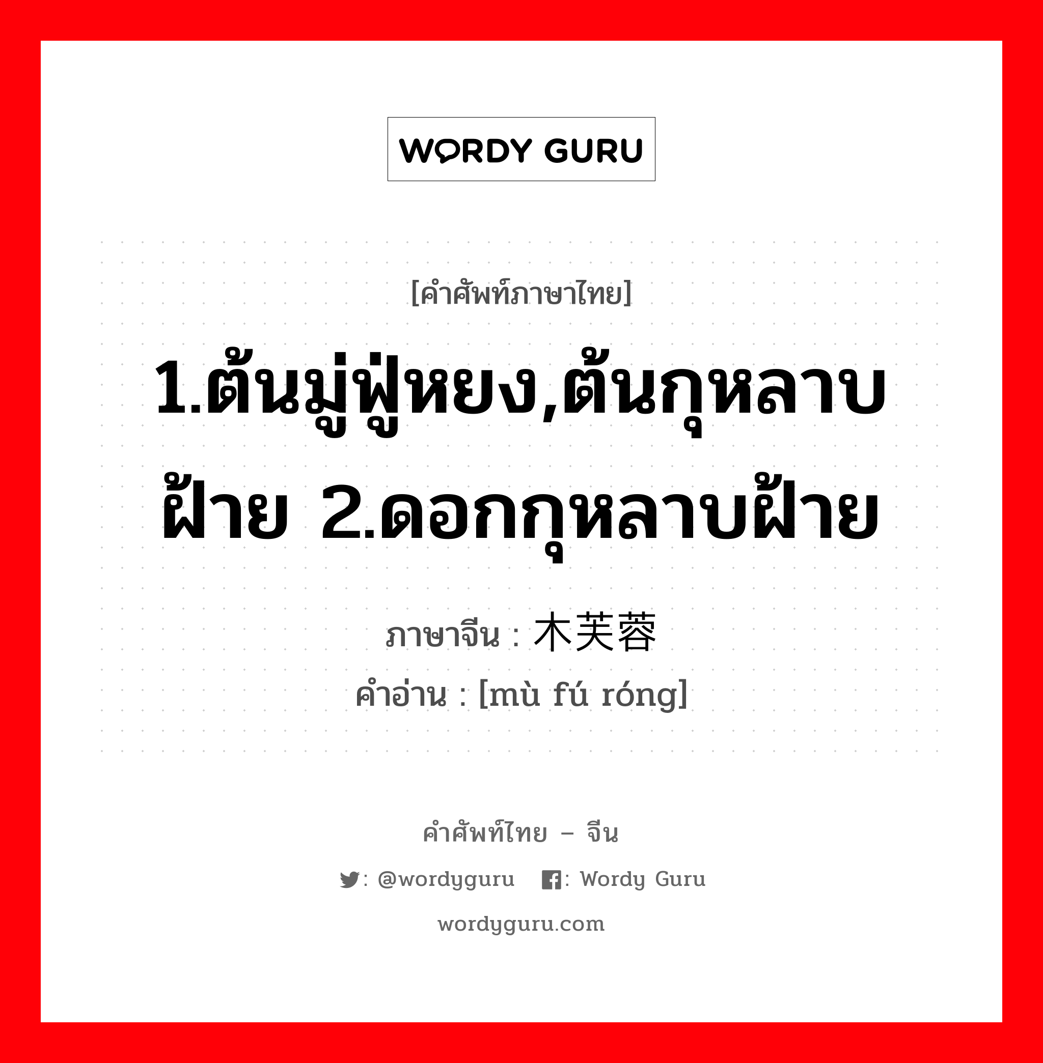 1.ต้นมู่ฟู่หยง,ต้นกุหลาบฝ้าย 2.ดอกกุหลาบฝ้าย ภาษาจีนคืออะไร, คำศัพท์ภาษาไทย - จีน 1.ต้นมู่ฟู่หยง,ต้นกุหลาบฝ้าย 2.ดอกกุหลาบฝ้าย ภาษาจีน 木芙蓉 คำอ่าน [mù fú róng]