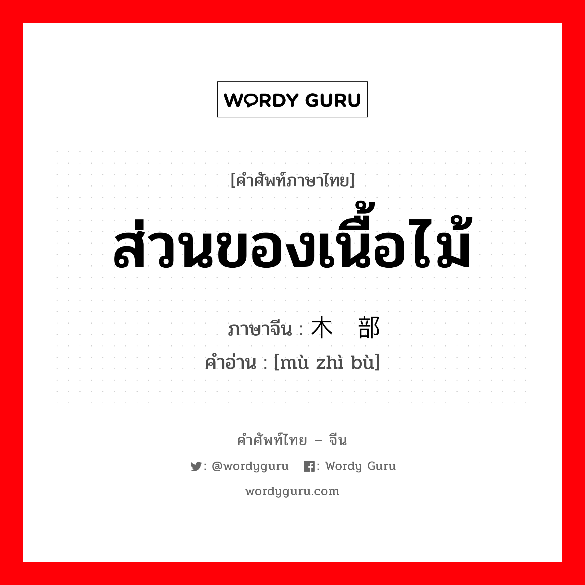 ส่วนของเนื้อไม้ ภาษาจีนคืออะไร, คำศัพท์ภาษาไทย - จีน ส่วนของเนื้อไม้ ภาษาจีน 木质部 คำอ่าน [mù zhì bù]