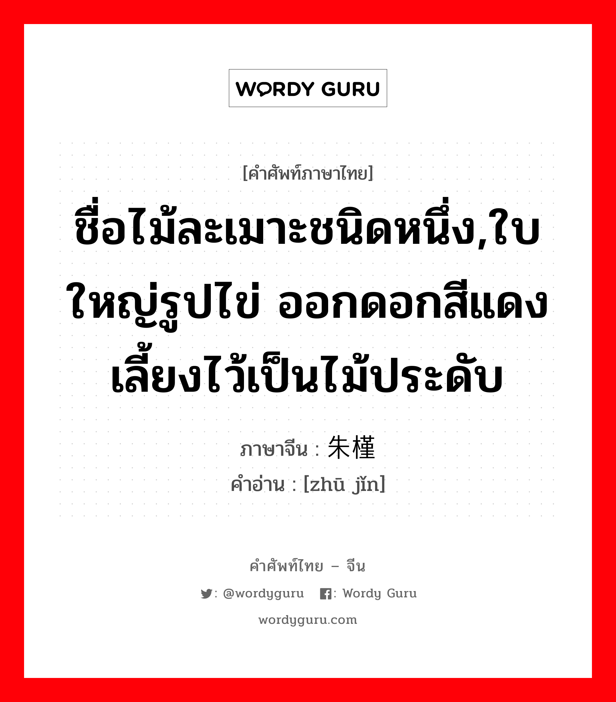 ชื่อไม้ละเมาะชนิดหนึ่ง,ใบใหญ่รูปไข่ ออกดอกสีแดงเลี้ยงไว้เป็นไม้ประดับ ภาษาจีนคืออะไร, คำศัพท์ภาษาไทย - จีน ชื่อไม้ละเมาะชนิดหนึ่ง,ใบใหญ่รูปไข่ ออกดอกสีแดงเลี้ยงไว้เป็นไม้ประดับ ภาษาจีน 朱槿 คำอ่าน [zhū jǐn]