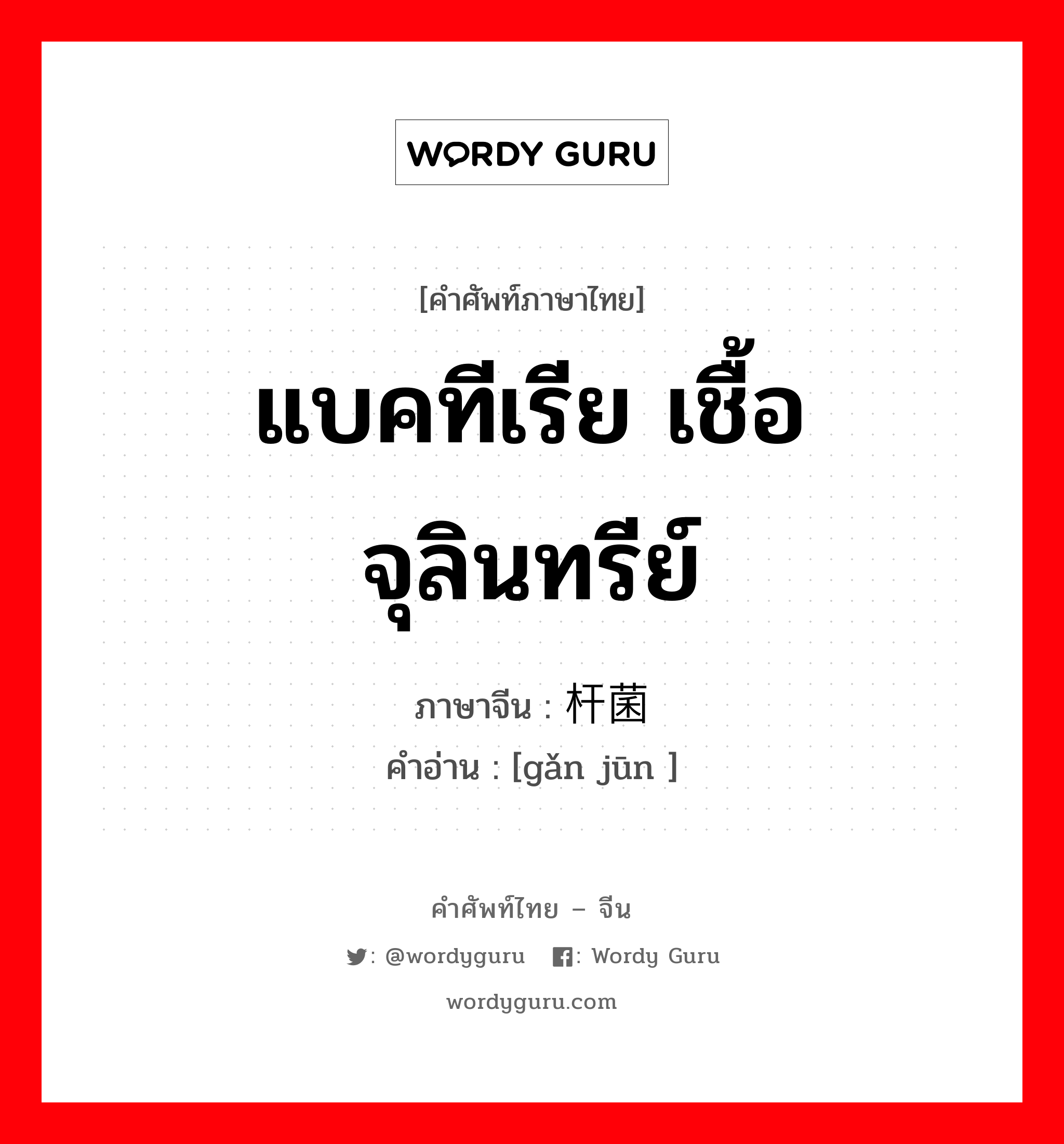 แบคทีเรีย เชื้อจุลินทรีย์ ภาษาจีนคืออะไร, คำศัพท์ภาษาไทย - จีน แบคทีเรีย เชื้อจุลินทรีย์ ภาษาจีน 杆菌 คำอ่าน [gǎn jūn ]