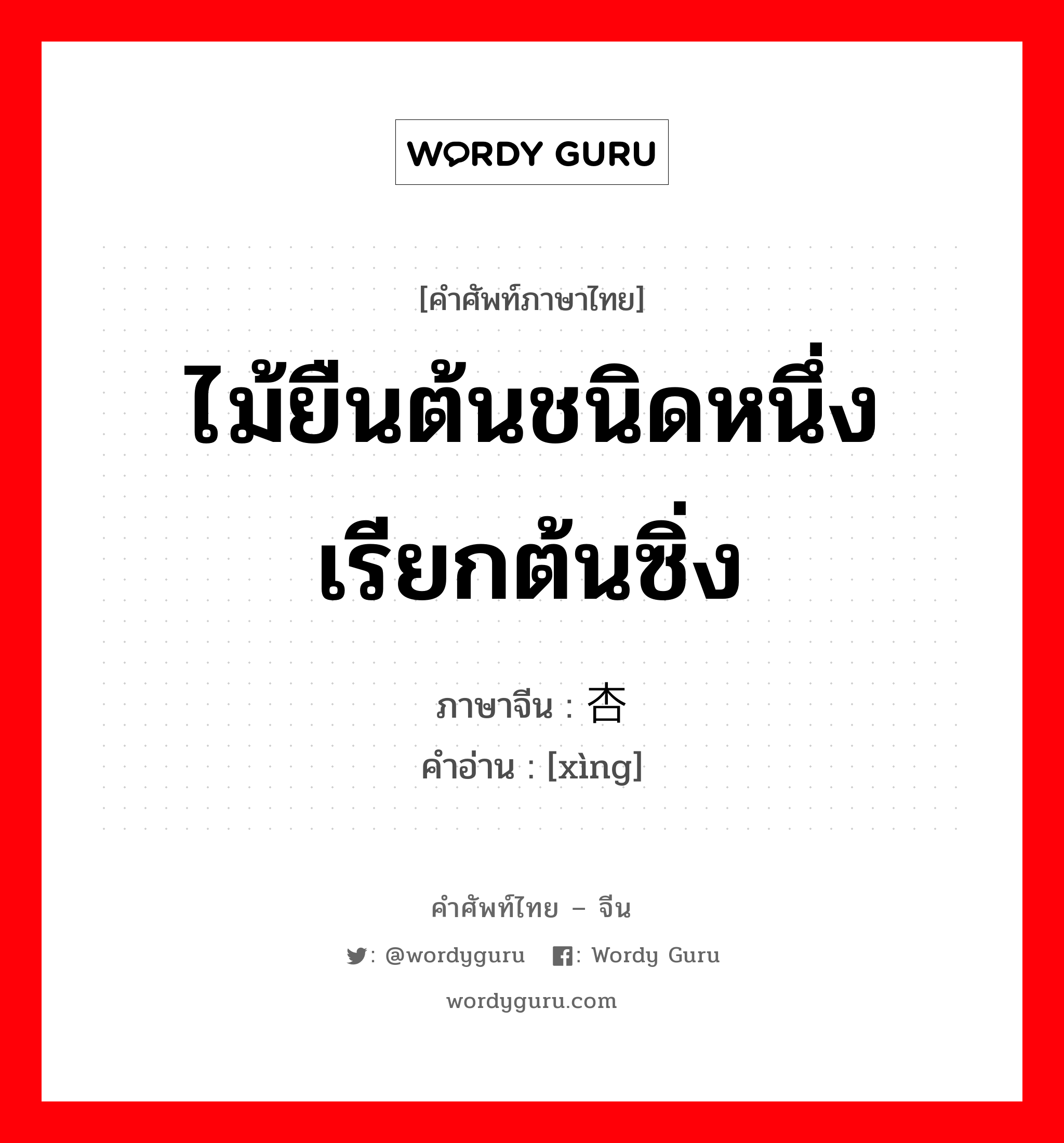 ไม้ยืนต้นชนิดหนึ่ง เรียกต้นซิ่ง ภาษาจีนคืออะไร, คำศัพท์ภาษาไทย - จีน ไม้ยืนต้นชนิดหนึ่ง เรียกต้นซิ่ง ภาษาจีน 杏 คำอ่าน [xìng]