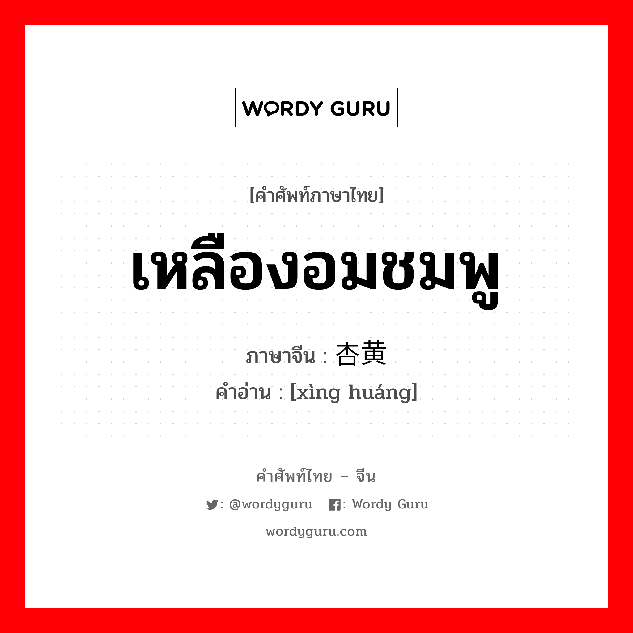 เหลืองอมชมพู ภาษาจีนคืออะไร, คำศัพท์ภาษาไทย - จีน เหลืองอมชมพู ภาษาจีน 杏黄 คำอ่าน [xìng huáng]