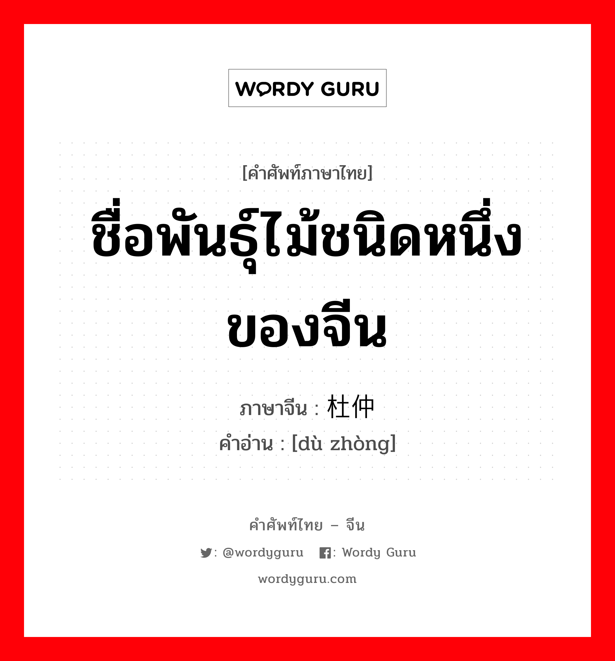 ชื่อพันธุ์ไม้ชนิดหนึ่งของจีน ชื่อสกุลหนึ่งของชาวจีน ภาษาจีนคืออะไร, คำศัพท์ภาษาไทย - จีน ชื่อพันธุ์ไม้ชนิดหนึ่งของจีน ภาษาจีน 杜仲 คำอ่าน [dù zhòng]