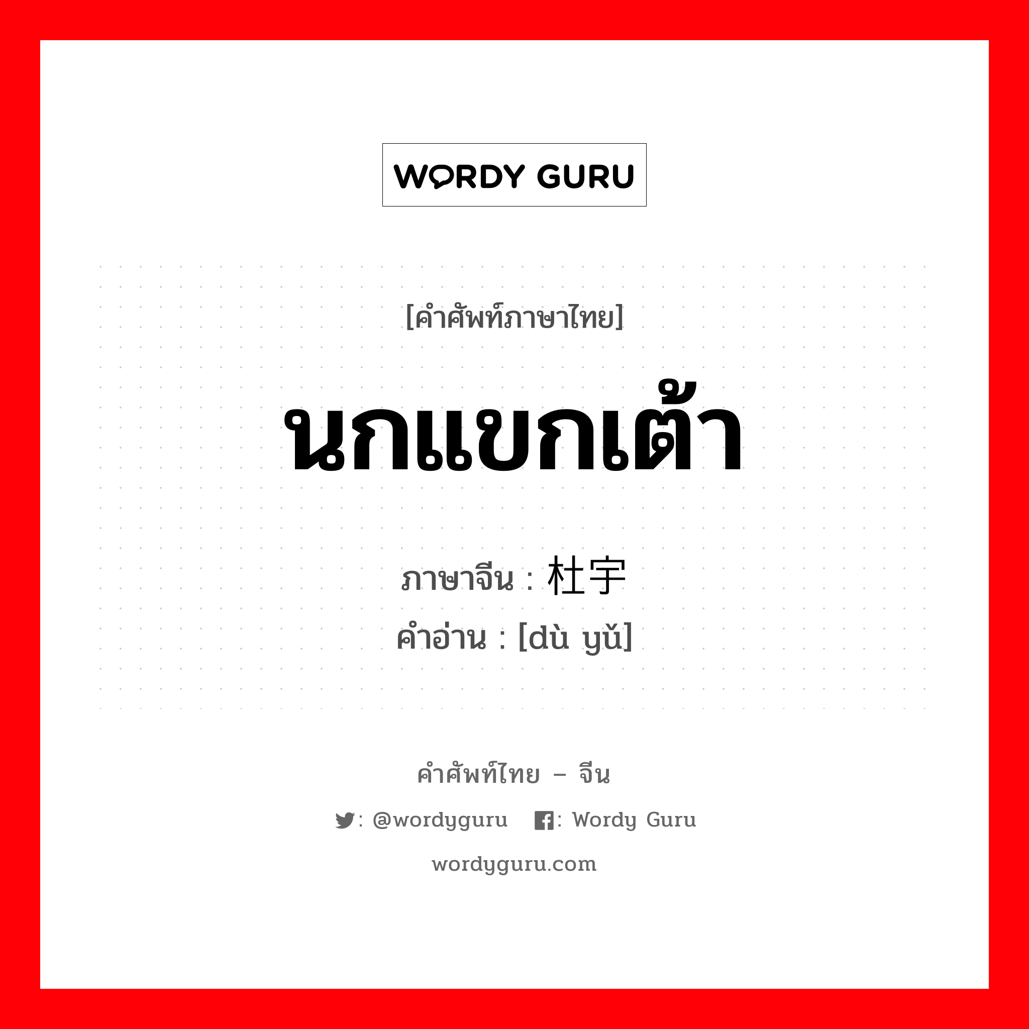 นกแขกเต้า ภาษาจีนคืออะไร, คำศัพท์ภาษาไทย - จีน นกแขกเต้า ภาษาจีน 杜宇 คำอ่าน [dù yǔ]