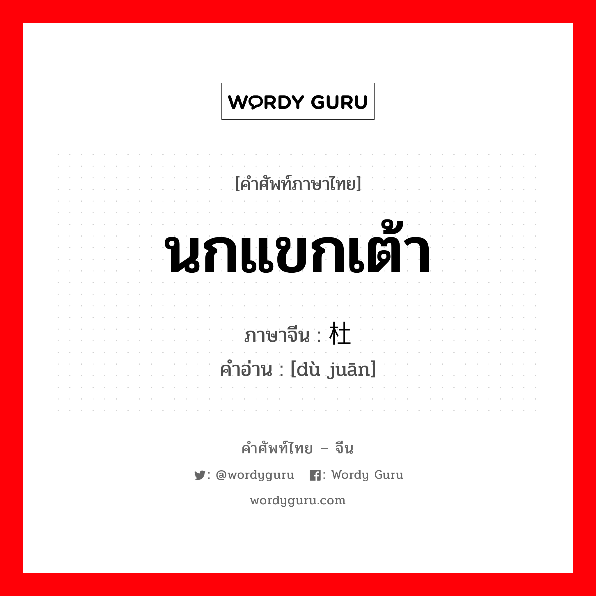 นกแขกเต้า ภาษาจีนคืออะไร, คำศัพท์ภาษาไทย - จีน นกแขกเต้า ภาษาจีน 杜鹃 คำอ่าน [dù juān]