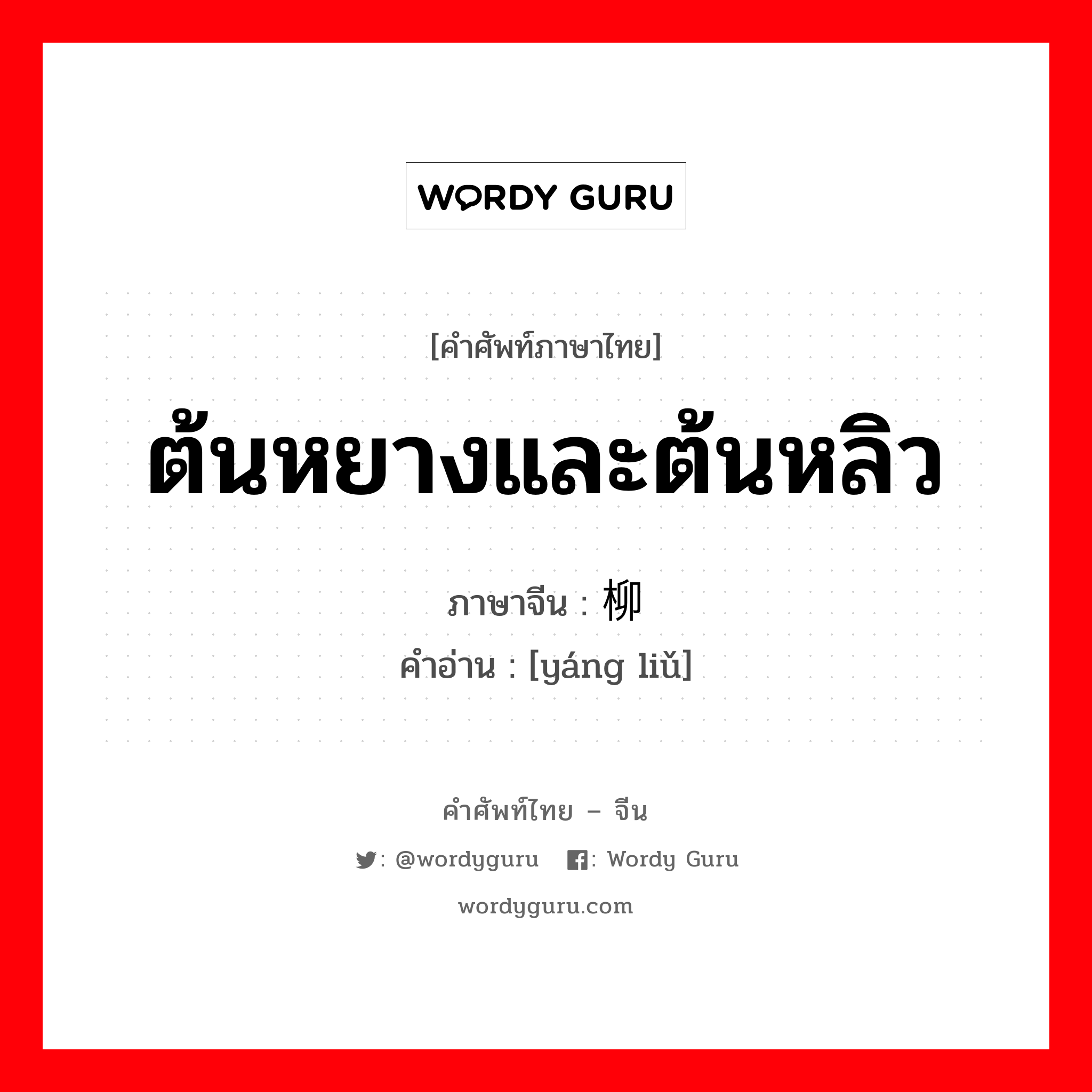 ต้นหยางและต้นหลิว ภาษาจีนคืออะไร, คำศัพท์ภาษาไทย - จีน ต้นหยางและต้นหลิว ภาษาจีน 杨柳 คำอ่าน [yáng liǔ]