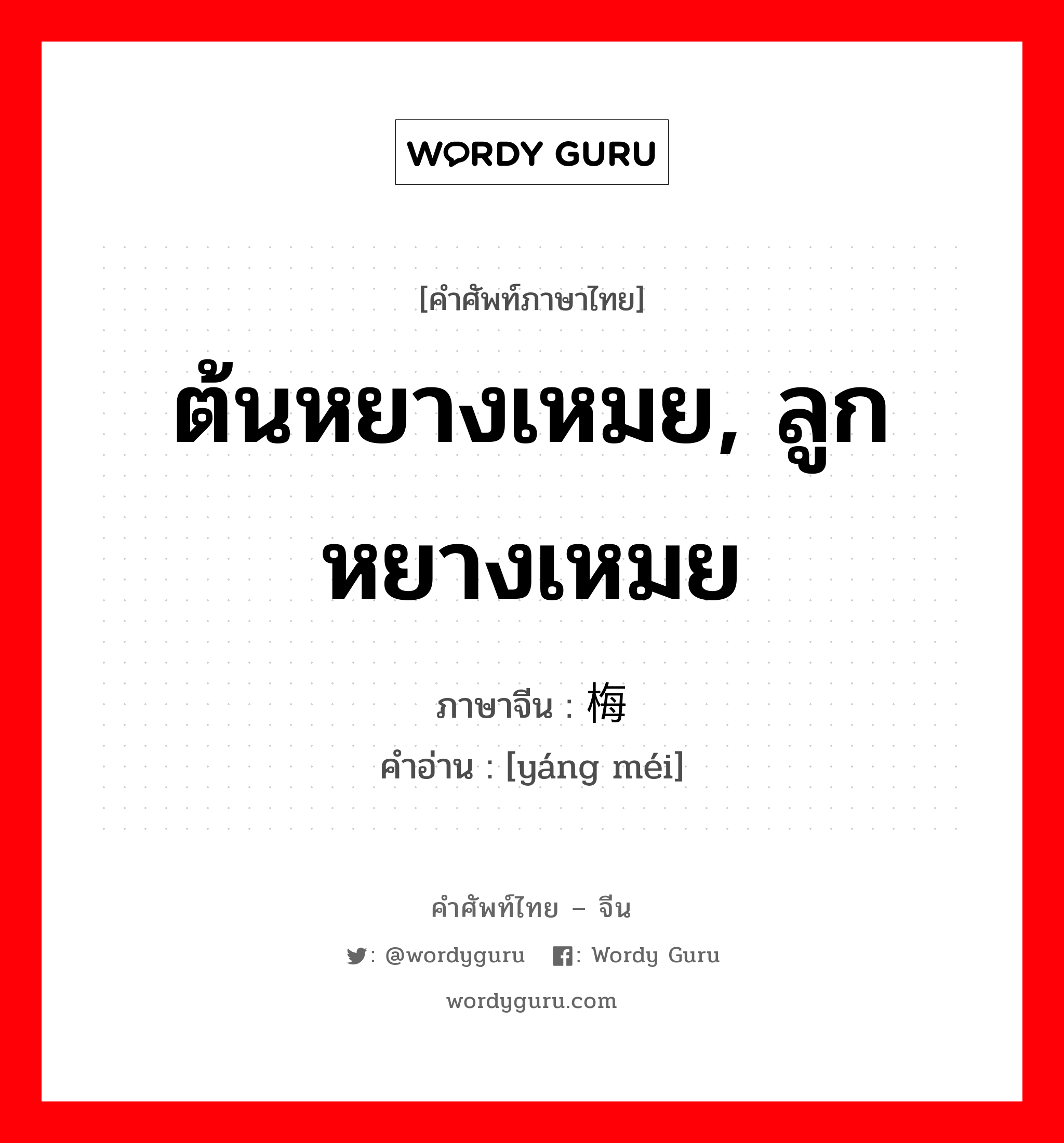 ต้นหยางเหมย, ลูกหยางเหมย ภาษาจีนคืออะไร, คำศัพท์ภาษาไทย - จีน ต้นหยางเหมย, ลูกหยางเหมย ภาษาจีน 杨梅 คำอ่าน [yáng méi]